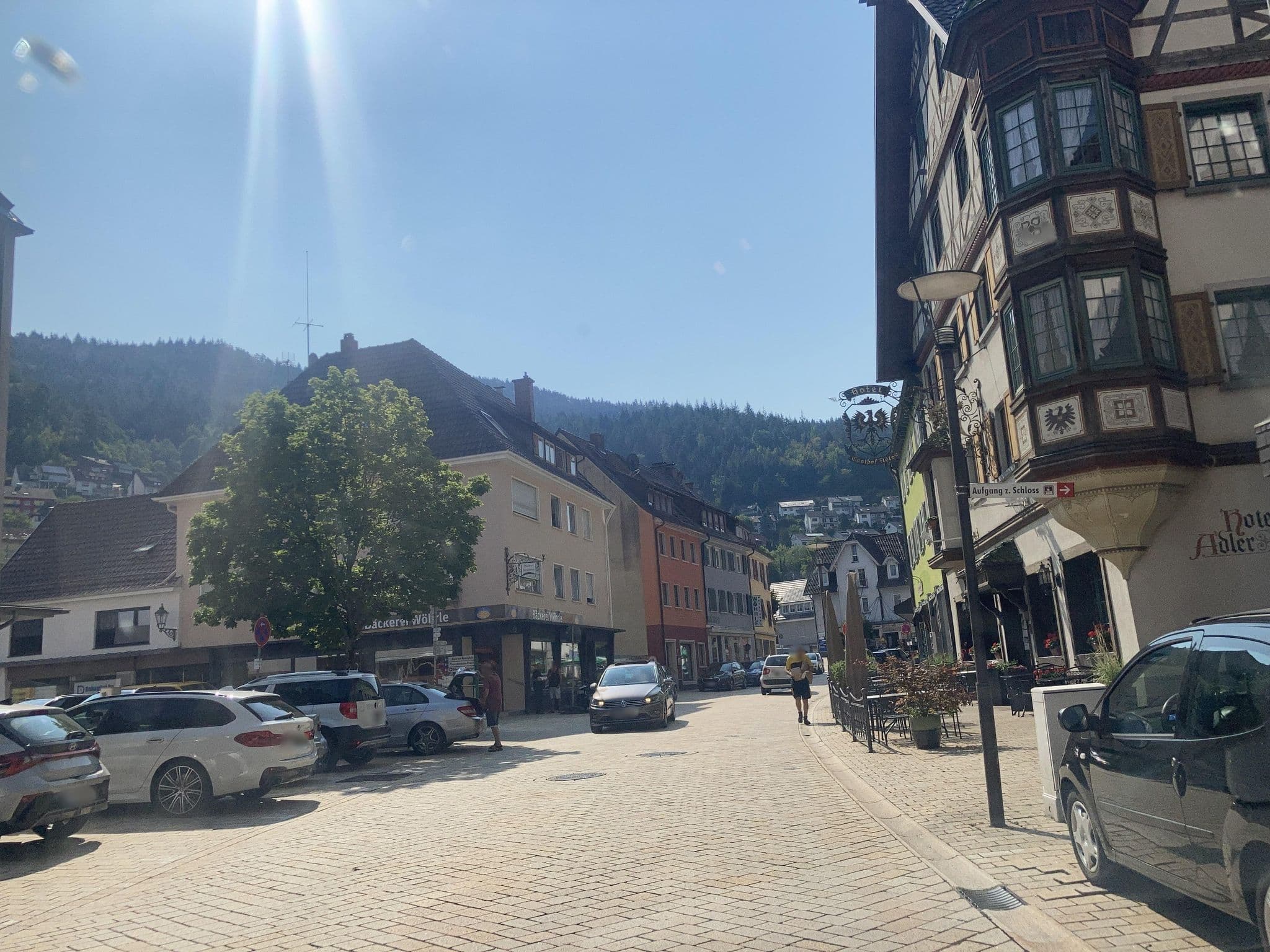 Street view near Adler, Hornberg — © tasmaniadevil (CC BY-SA · Mapillary)