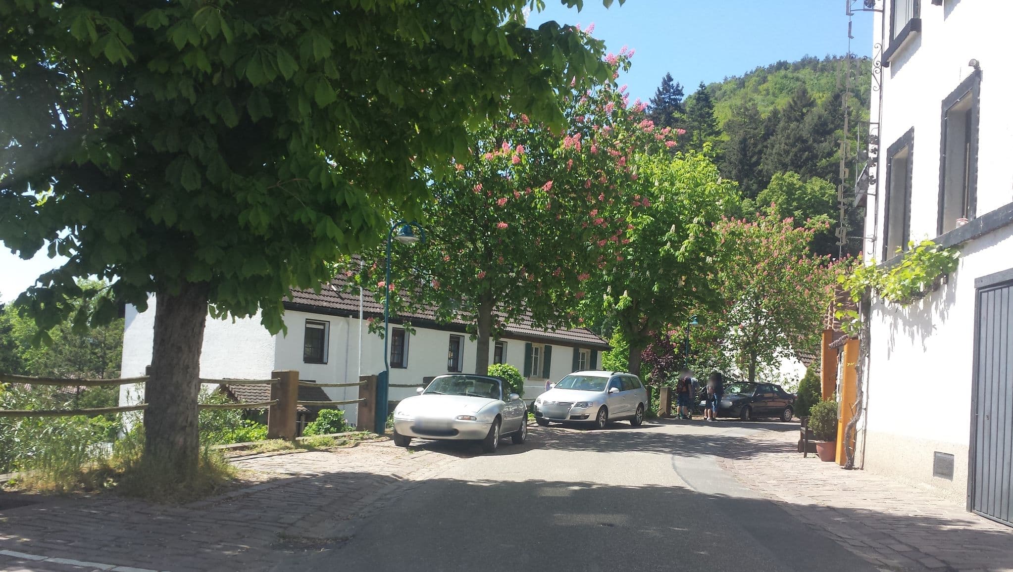 Street view near Hotel-Pension Weinberg, Albersweiler — © wegavision (CC BY-SA · Mapillary)