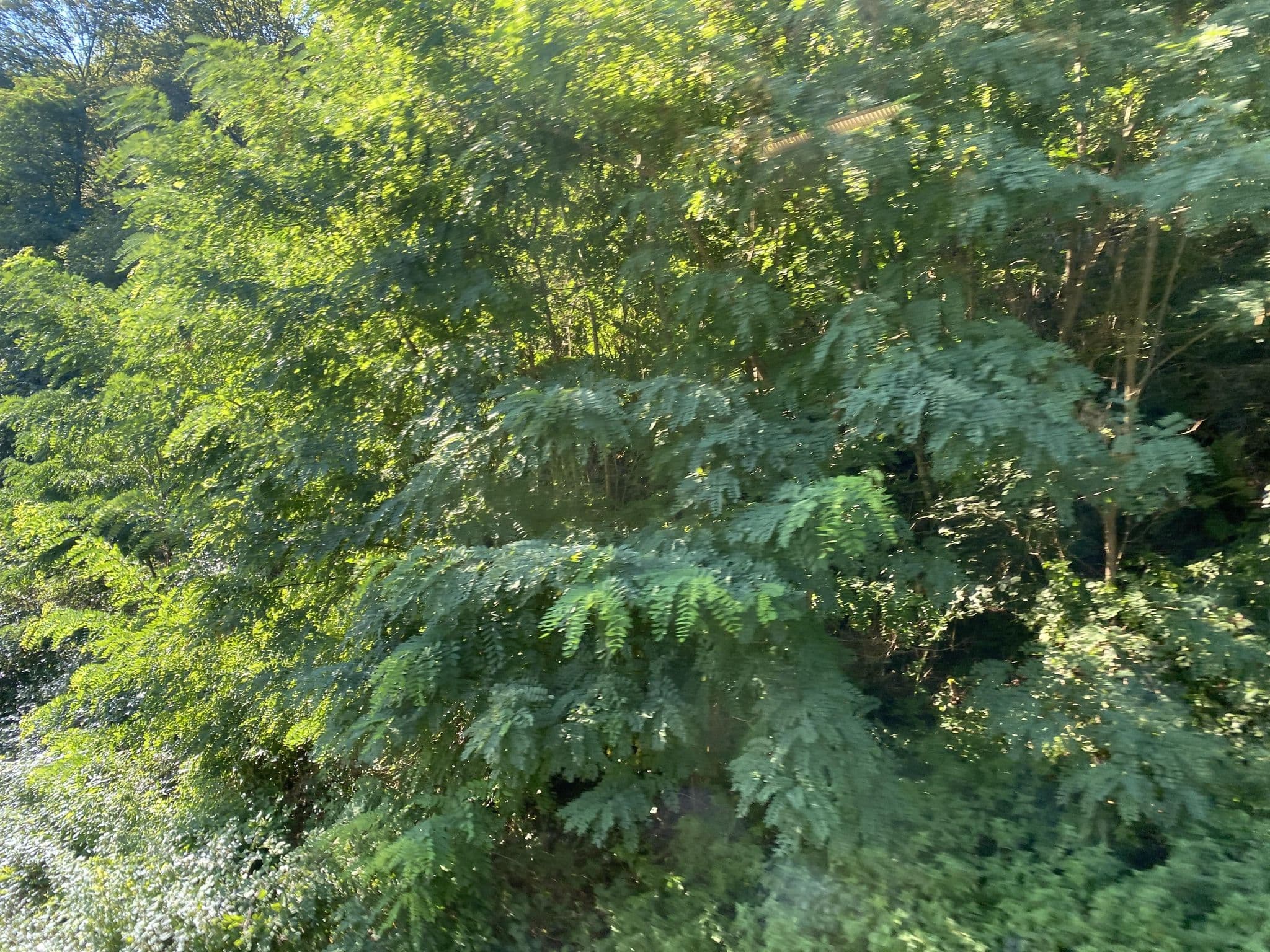 Street view near Bergschlößchen, Boppard — © troher15 (CC BY-SA · Mapillary)