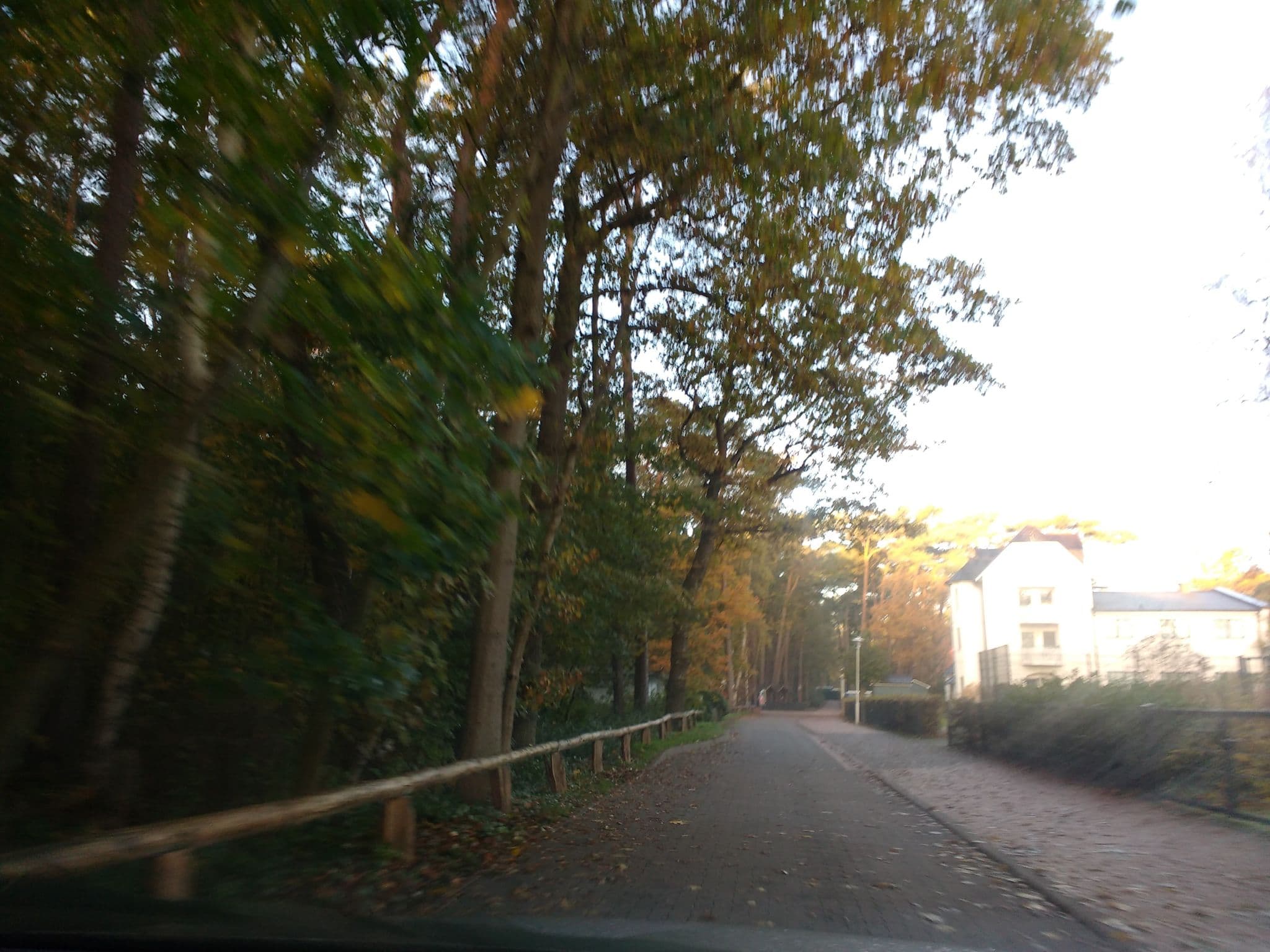 Street view near Haus Waldfrieden, Ostseebad Boltenhagen — © thetornado76 (CC BY-SA · Mapillary)