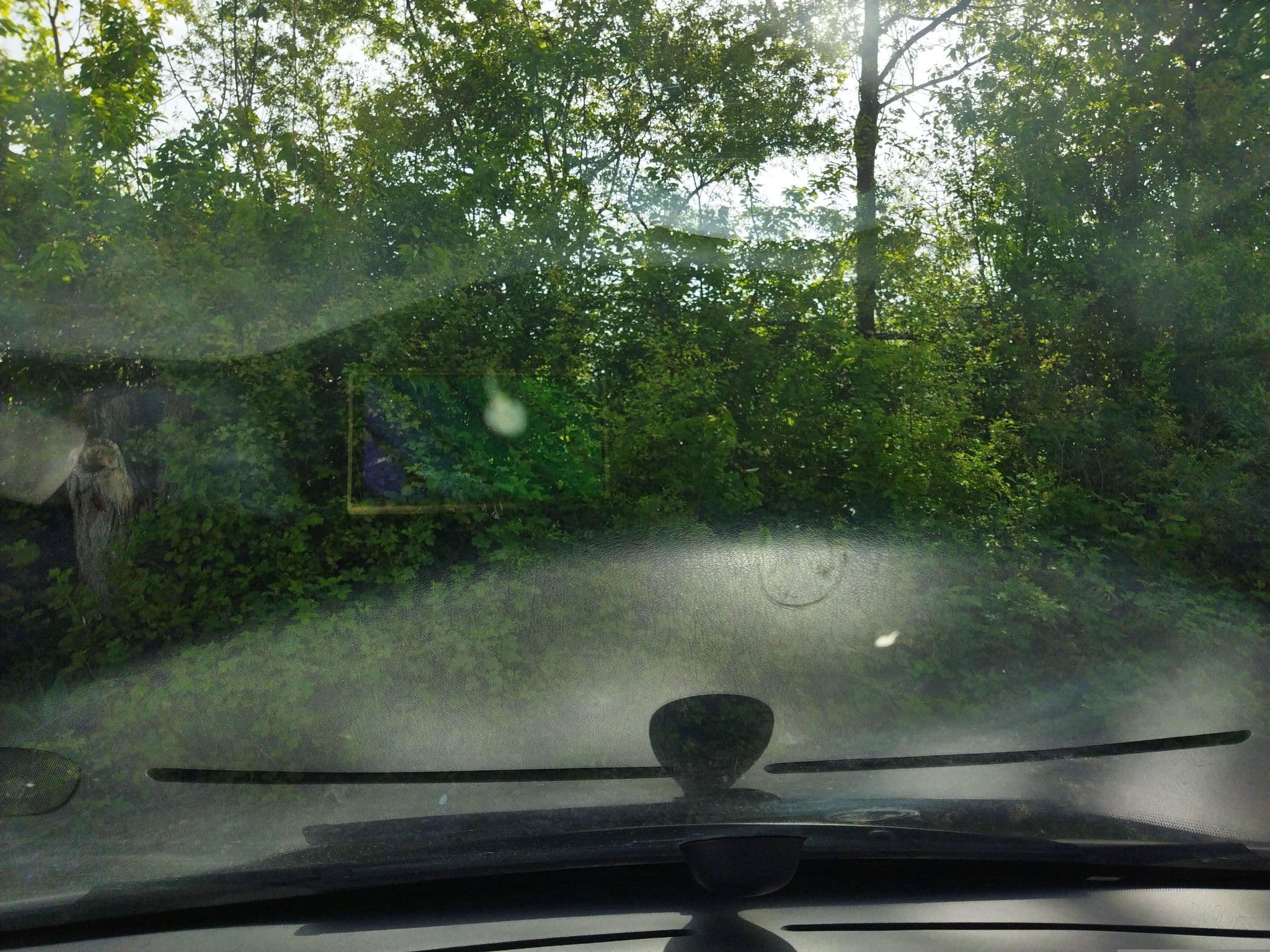 Street view near Wohnmobilpark Schwarzach "Am Wildpark", Aglasterhausen — © changchun1 (CC BY-SA · Mapillary)