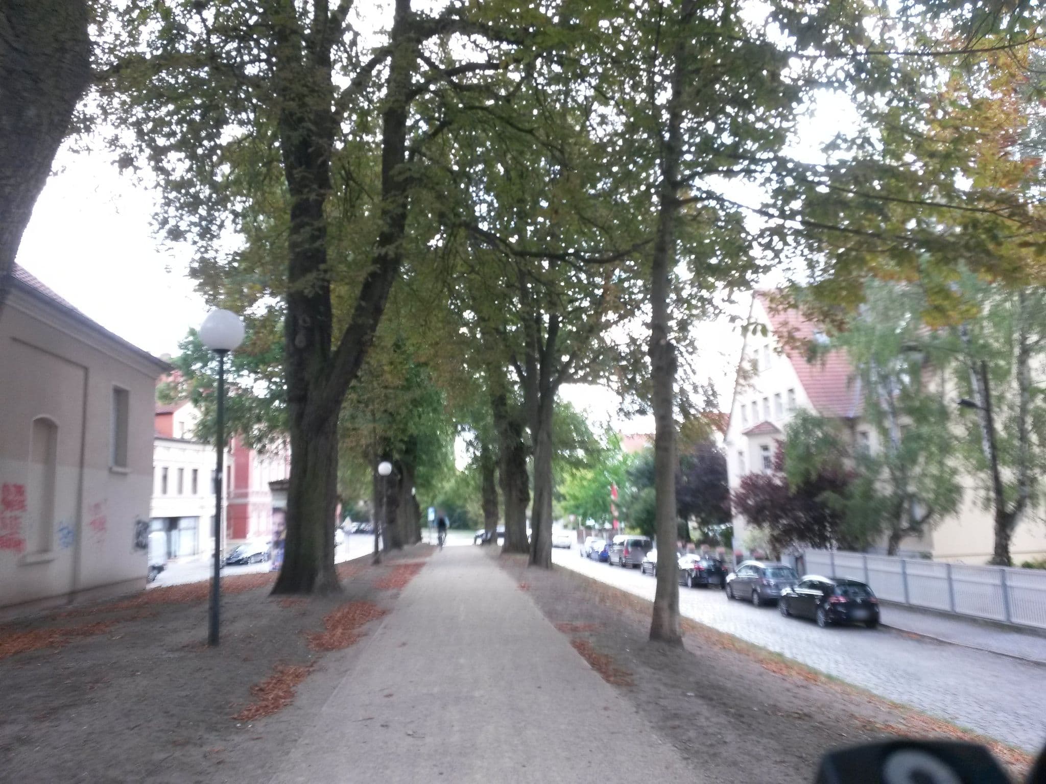Street view near Wohnen am Dom, Stendal — © rausk (CC BY-SA · Mapillary)