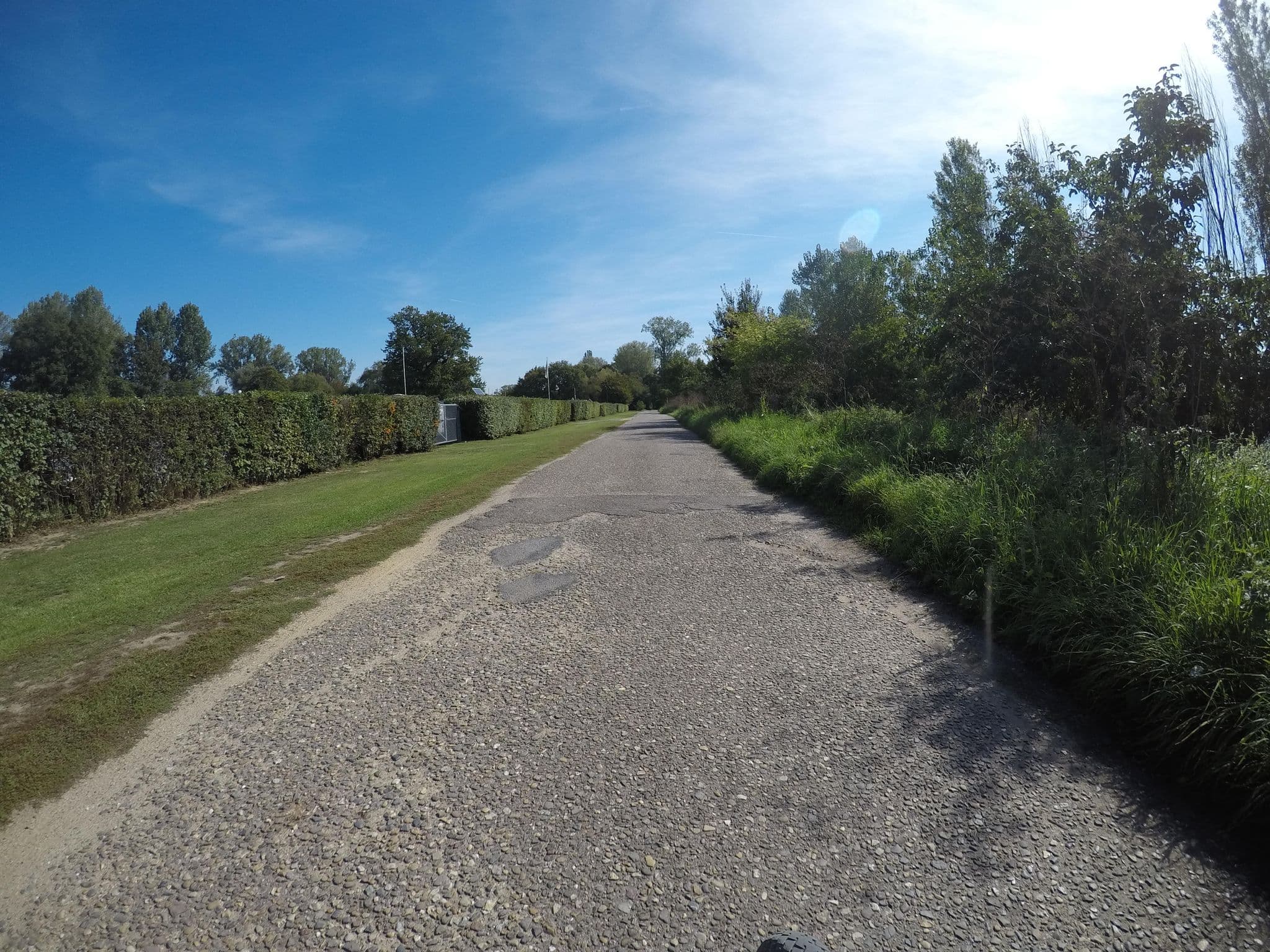 Street view near Campingfreunde Schusterwörth e.V., Biebesheim — © mfa (CC BY-SA · Mapillary)