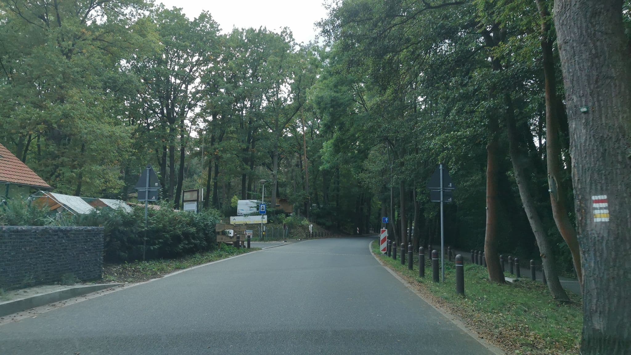 Street view near Schwielowsee Camping, Fichtenwalde — © imjeremy (CC BY-SA · Mapillary)