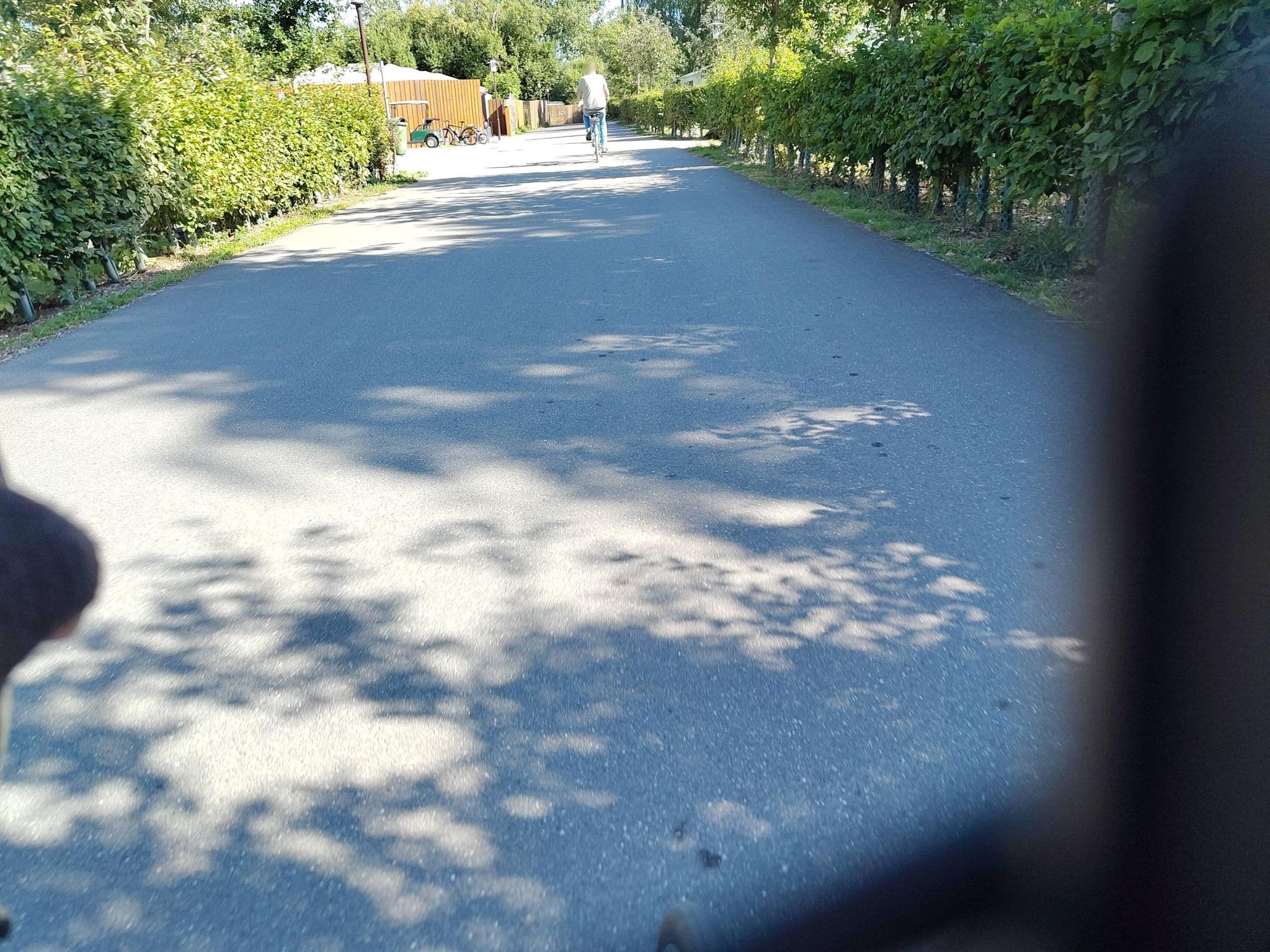 Street view near FH177, Burg auf Fehmarn — © redleo85 (CC BY-SA · Mapillary)