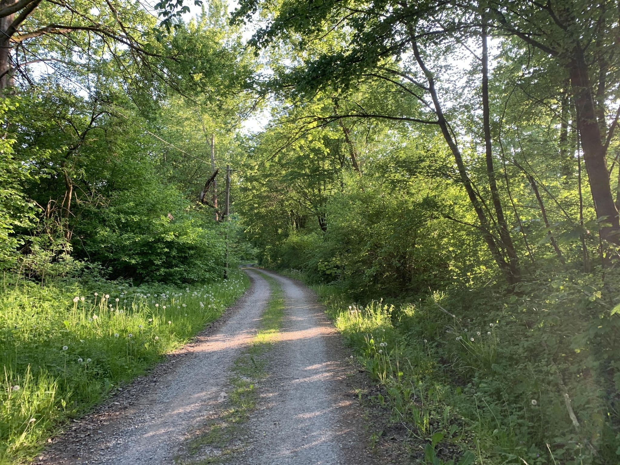 Street view near Haus Winnetou, Nentershausen — © GrumpyOldBear (CC BY-SA · Mapillary)