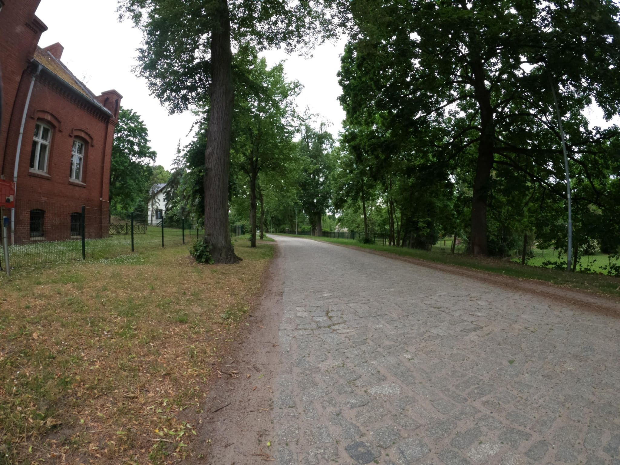 Street view near Rüstzeitheim Reitwein, Podelzig — © masterofnoroad (CC BY-SA · Mapillary)