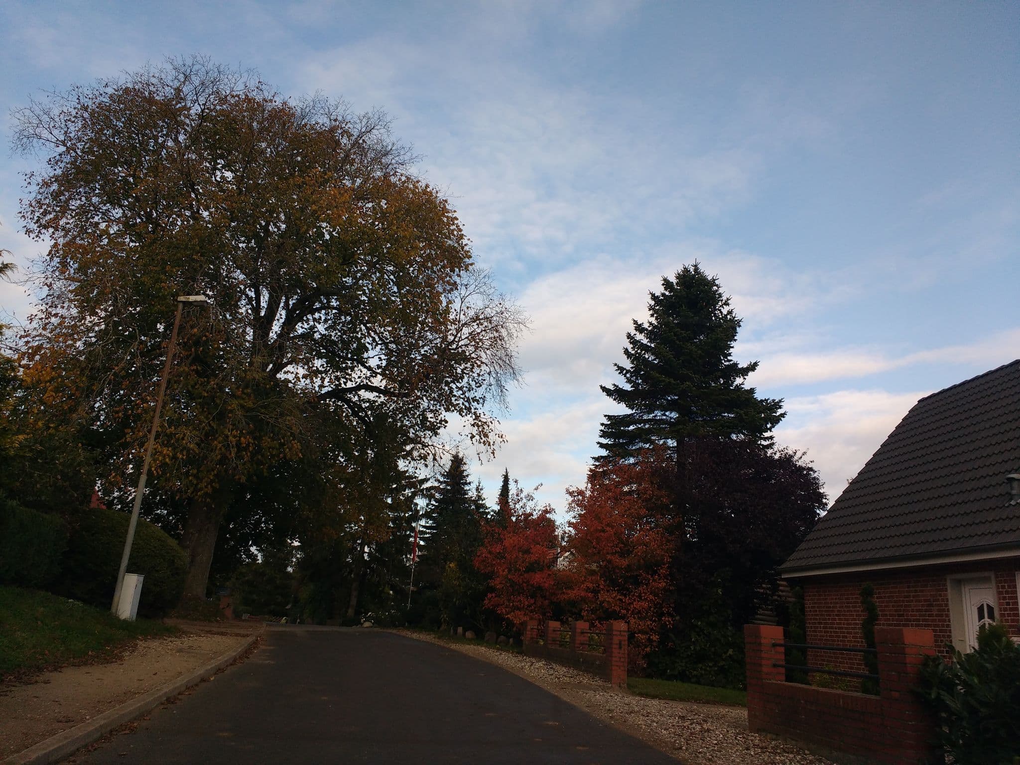 Street view near Ferienhof Wiesengrund, Wangels — © thetornado76 (CC BY-SA · Mapillary)