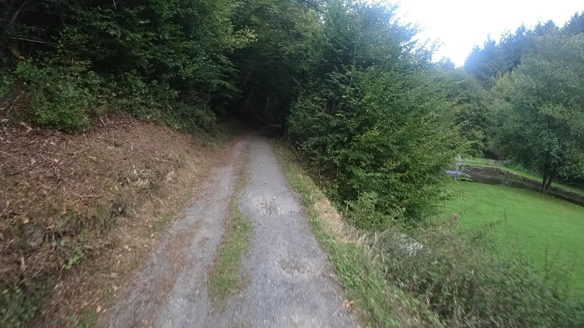 Street view near Thalhauser Mühle, Anhausen — © michellefritz (CC BY-SA · Mapillary)