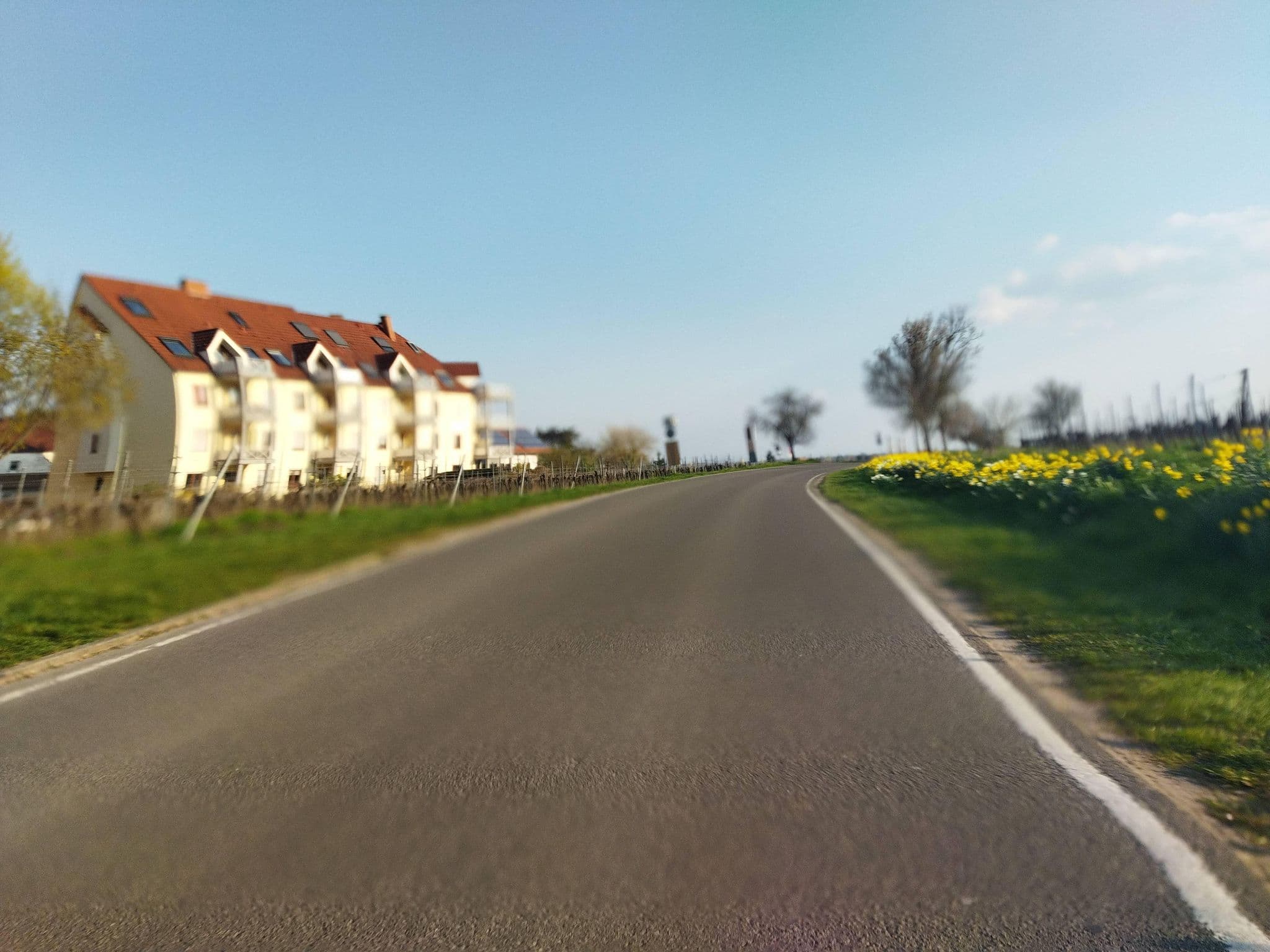 Street view near Weingut Schäfer - Edenkoben, Edenkoben — © changchun1 (CC BY-SA · Mapillary)