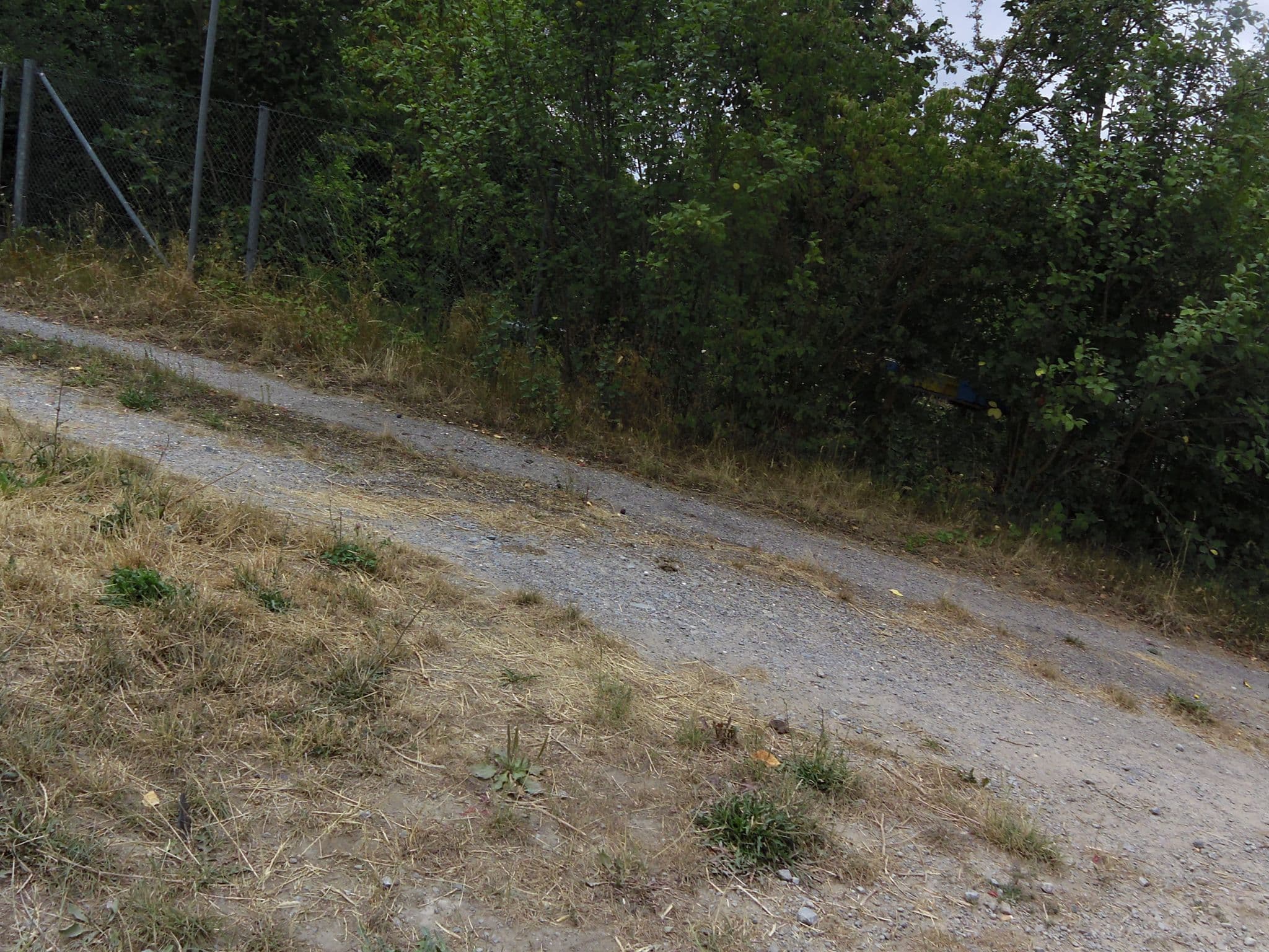 Street view near Wohnmobilstellplatz Gerbrunn, Gerbrunn — © zoegglmeyr (CC BY-SA · Mapillary)