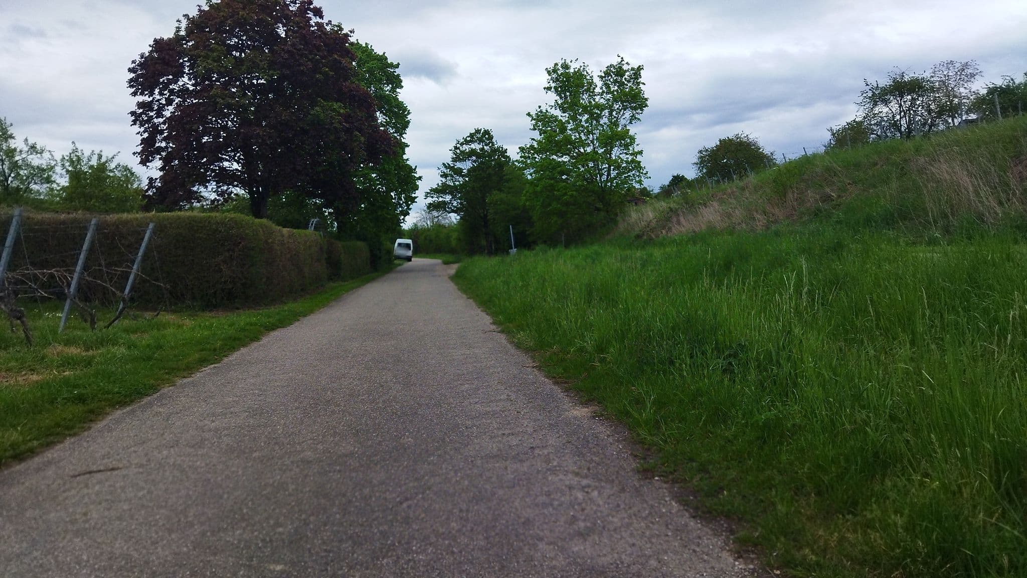 Street view near Wohnmobilstellplatz Müllers Weingut, Nordheim — © changchun1 (CC BY-SA · Mapillary)