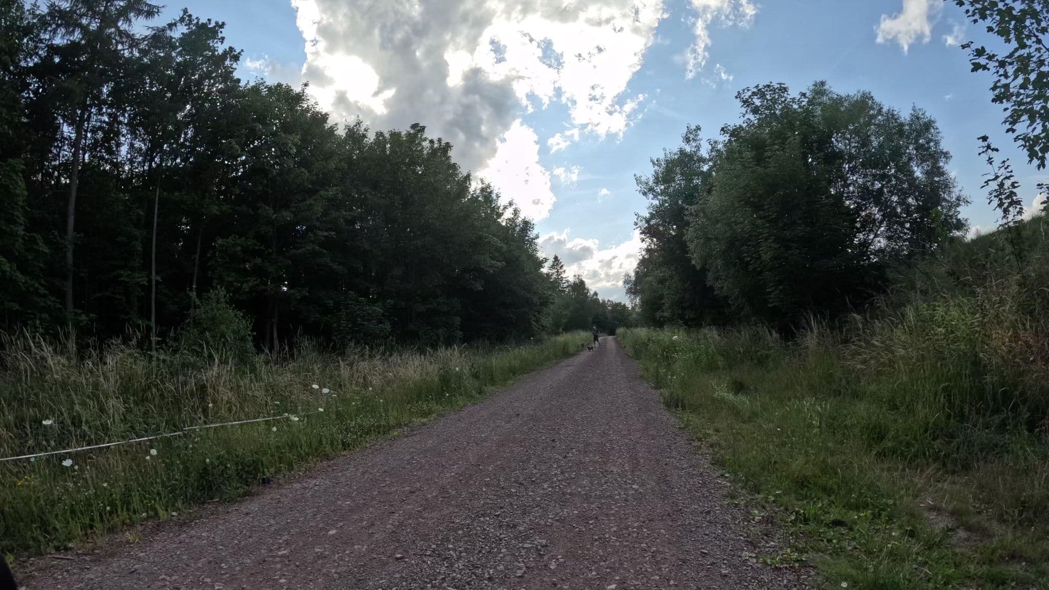 Street view near Wohnmobil Parkplatz Ferienpark Birnbaumteich, Harzgerode — © denali6194 (CC BY-SA · Mapillary)