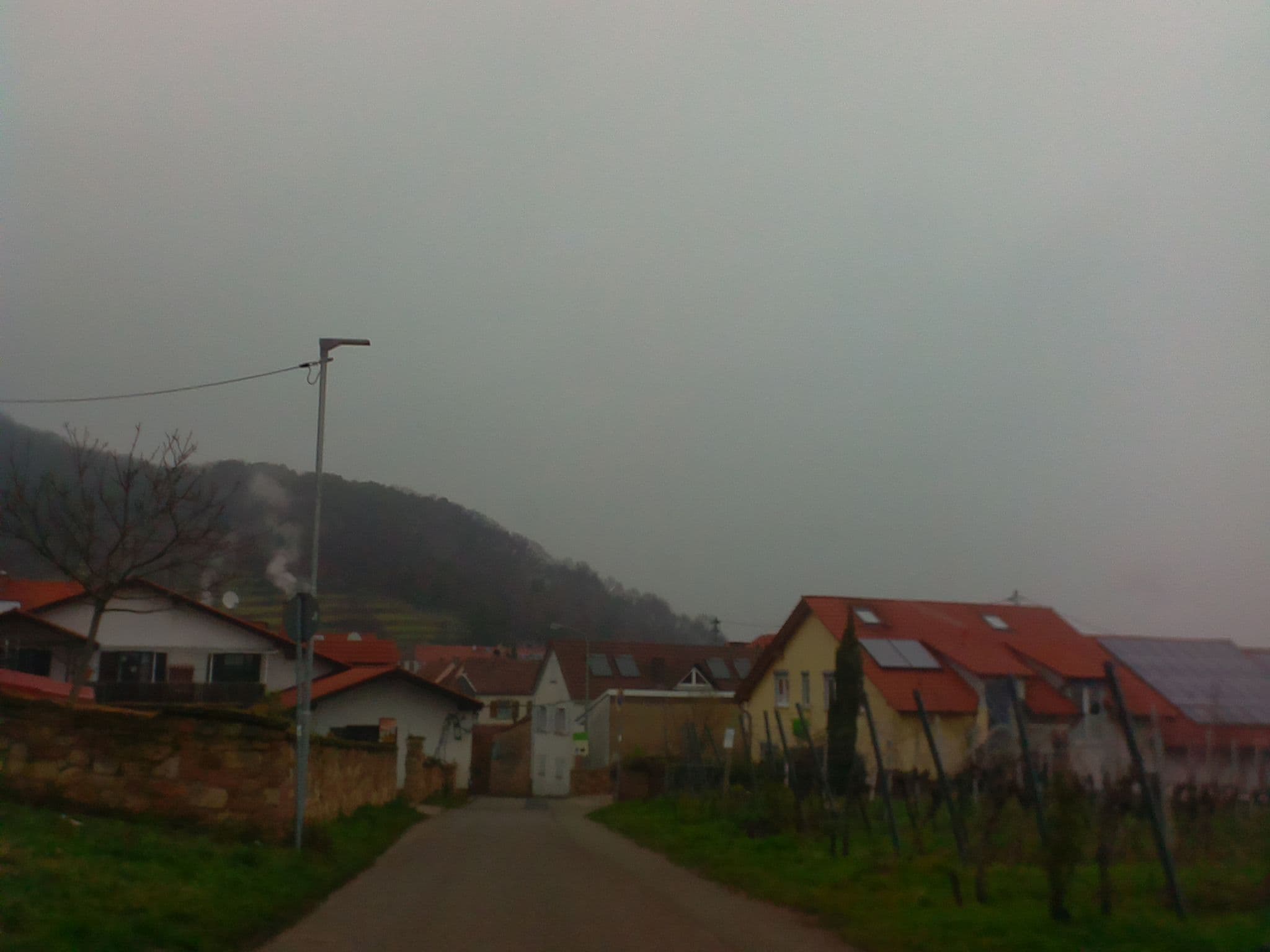 Street view near Wohnmobilstellplatz Weingut Disson, Maikammer — © ramap (CC BY-SA · Mapillary)