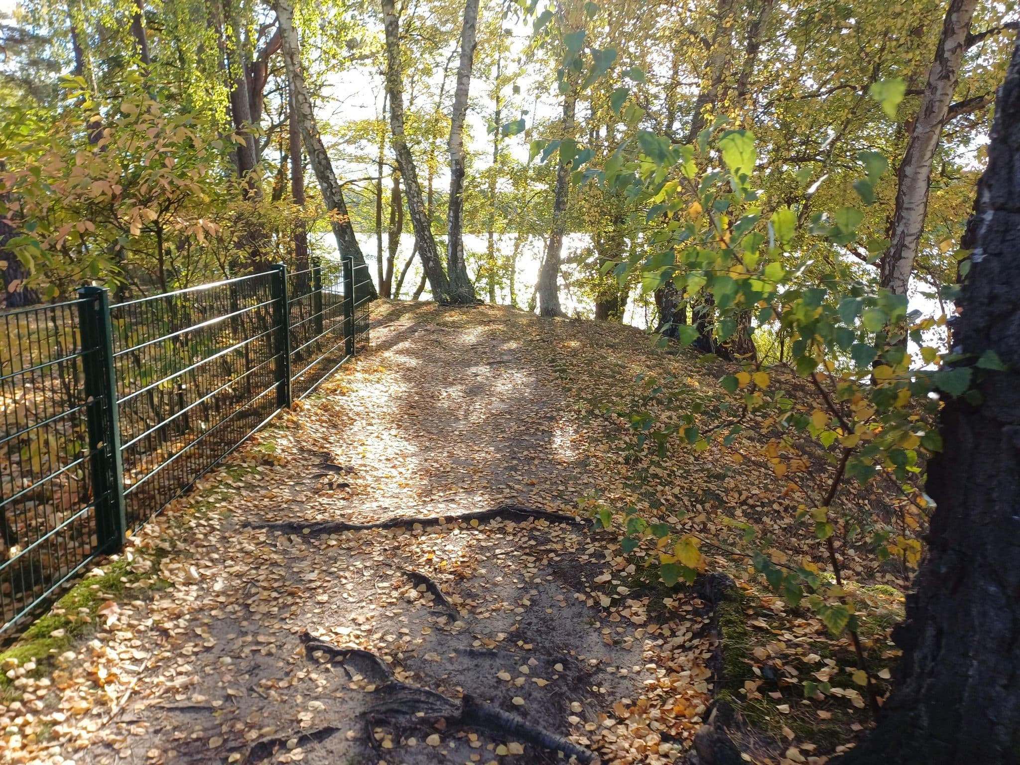 Street view near FKK Bereich, Kyritz — © wentus (CC BY-SA · Mapillary)