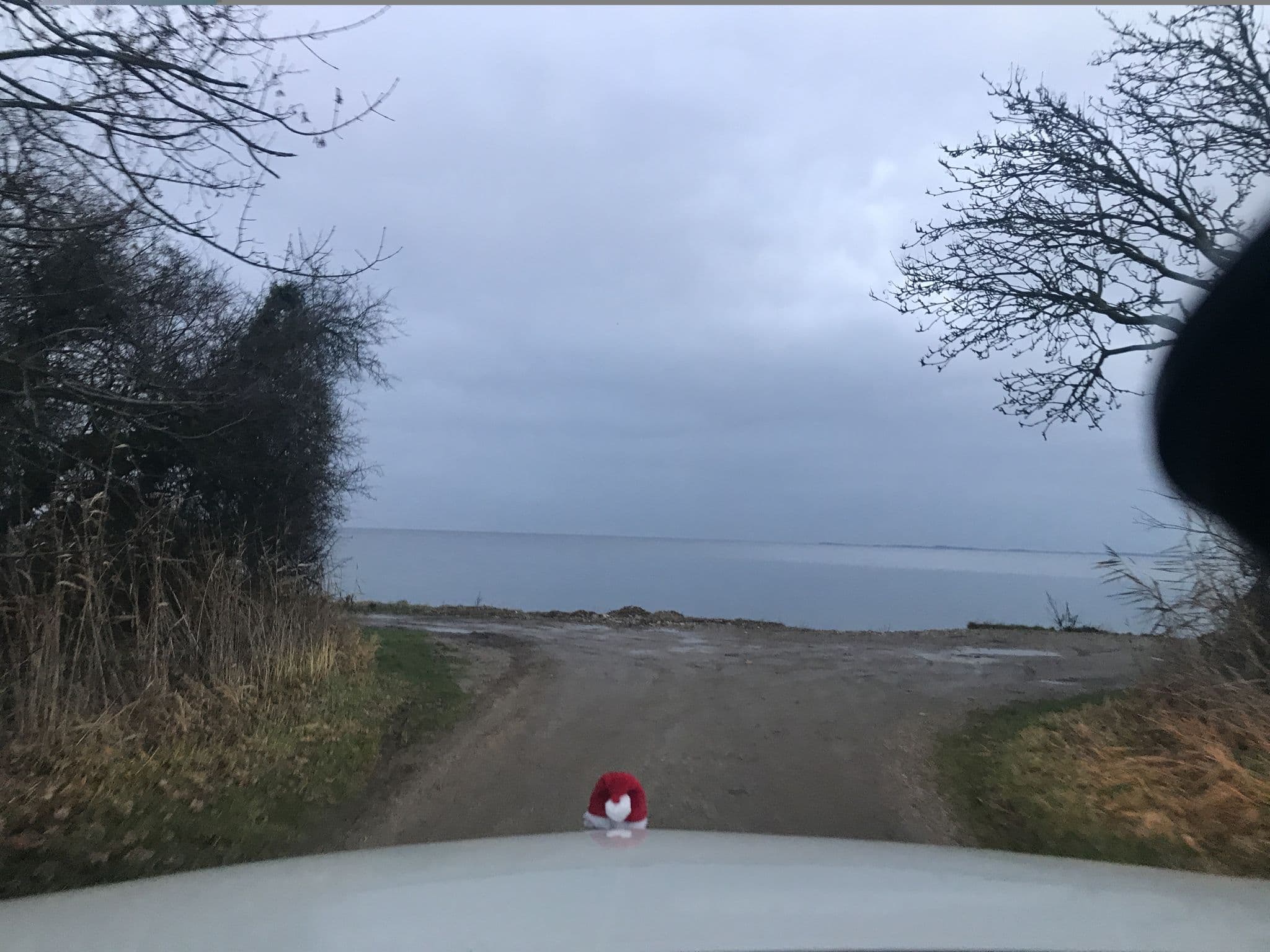 Street view near Frydenlund Shelterplads, Dollerup — © saschahaberkorn (CC BY-SA · Mapillary)