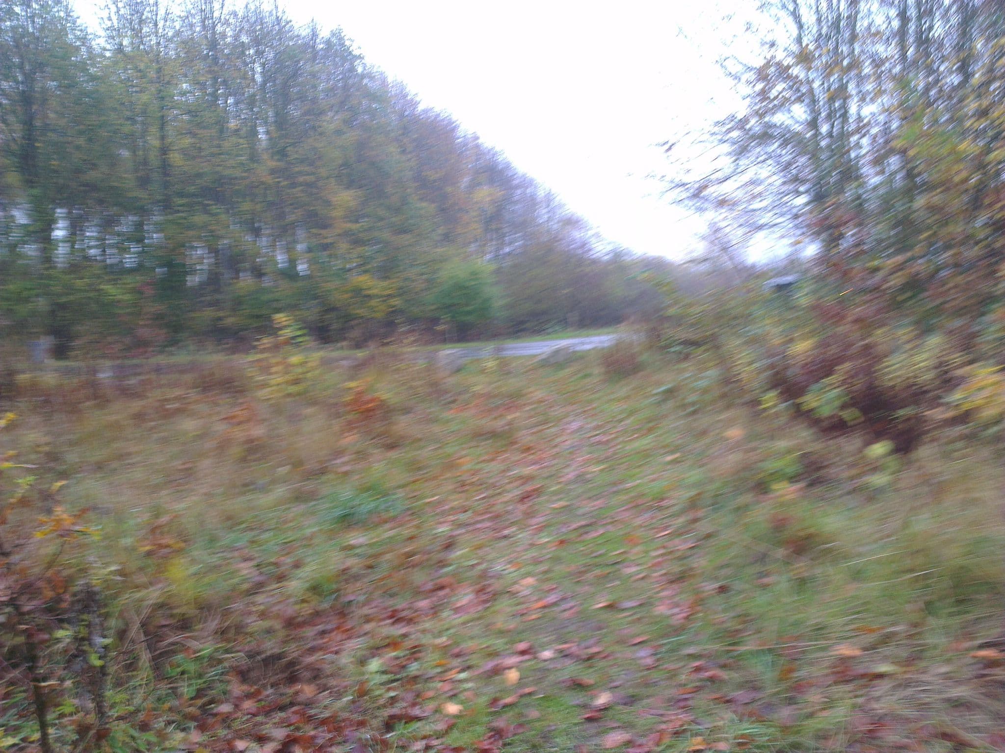 Street view near Shelter Hammer Bakke, Skibby — © neogeografen (CC BY-SA · Mapillary)