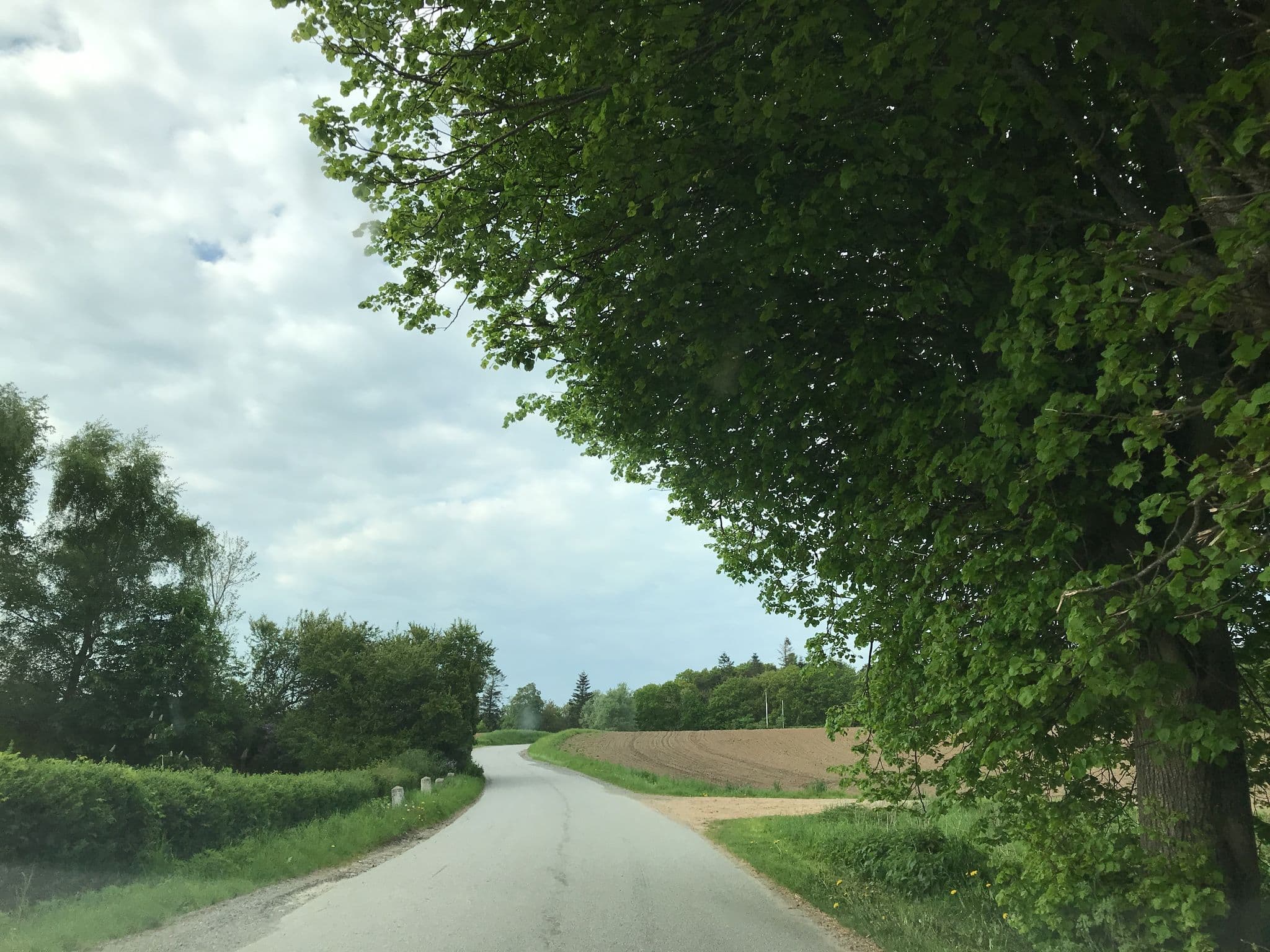 Street view near Filshuse telt- og shelterplads, Assens — © sannemik (CC BY-SA · Mapillary)
