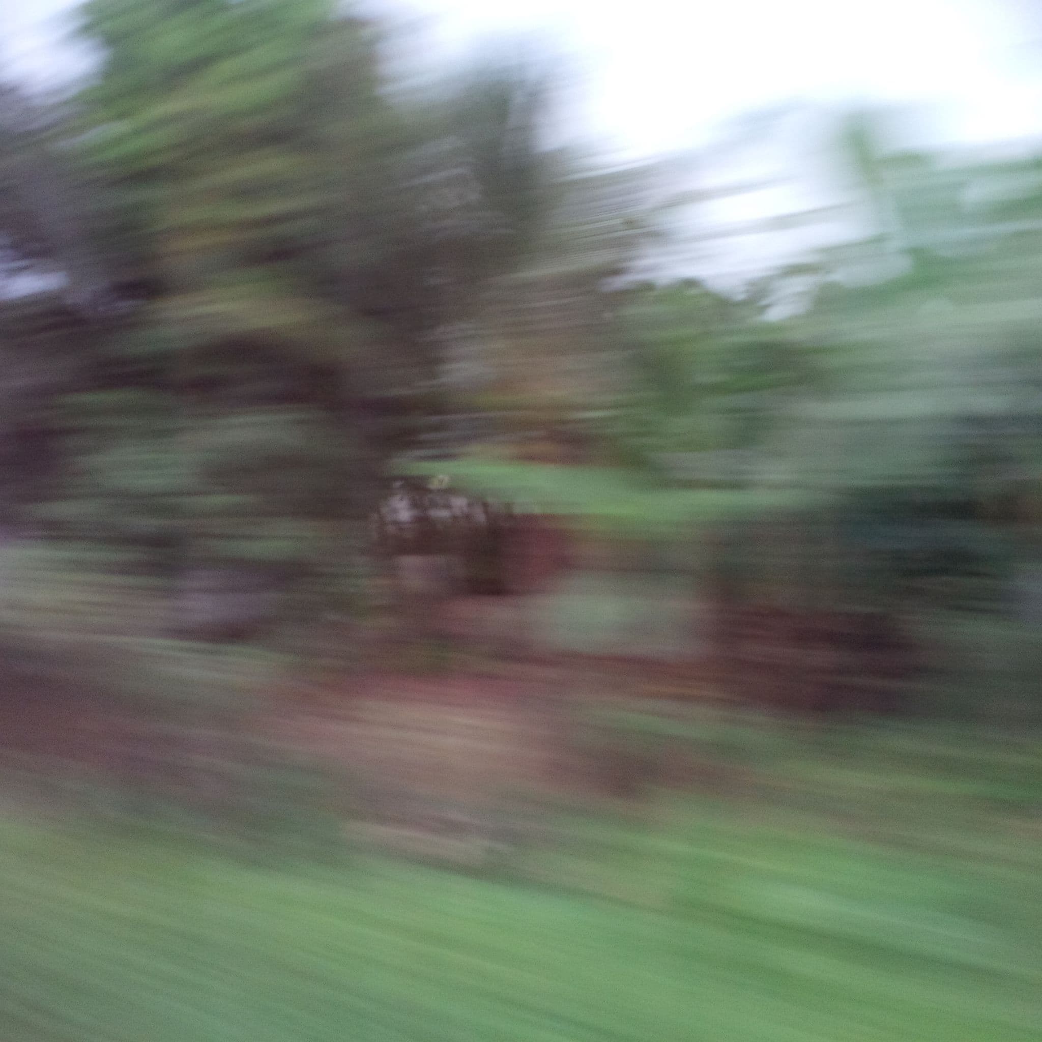 Street view near Finca San German 1 - 72ha, La Troncal — © agranizo (CC BY-SA · Mapillary)