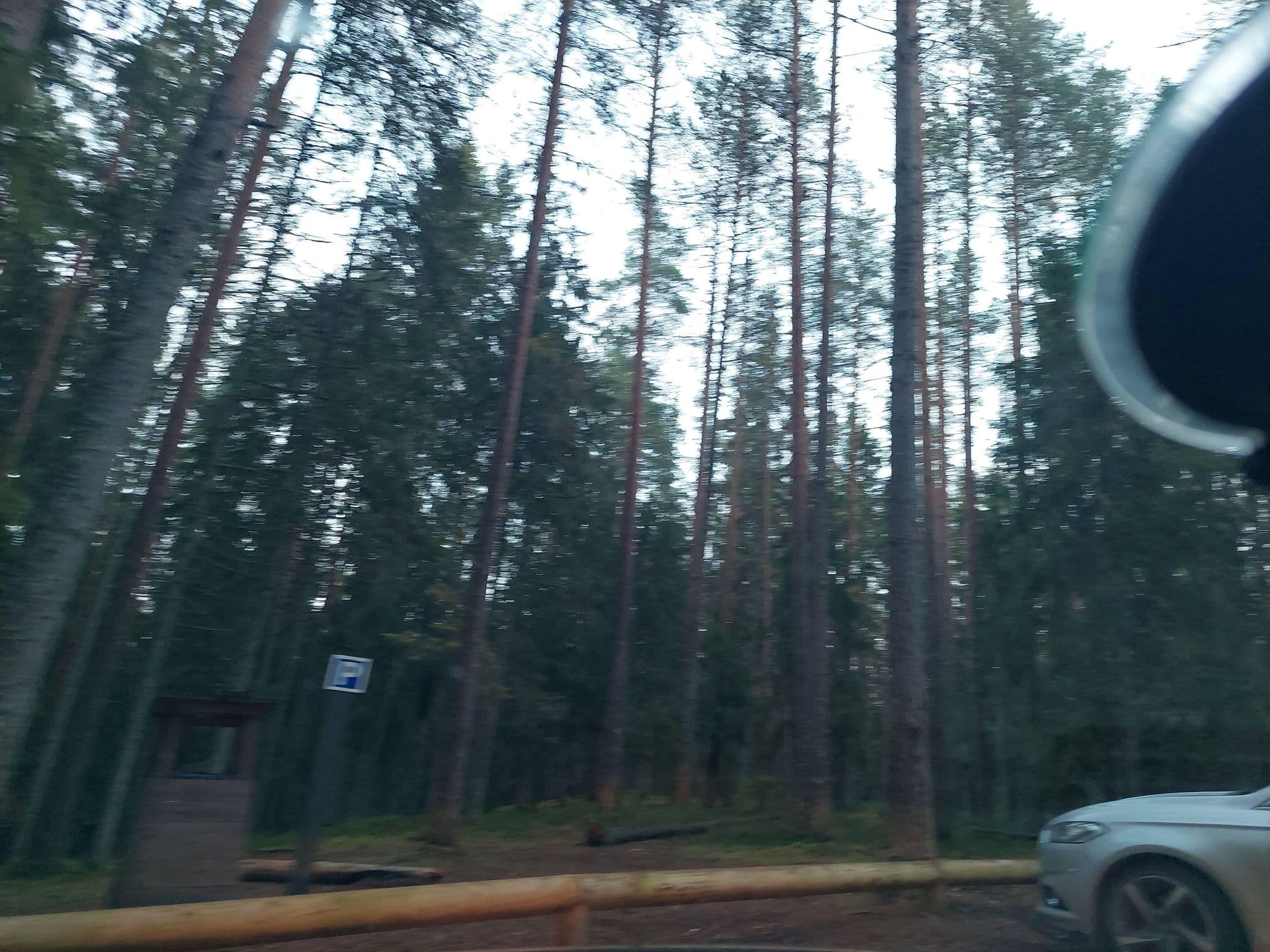 Street view near Kalajärve lõkkekoht, Kehra — © Apirnus (CC BY-SA · Mapillary)