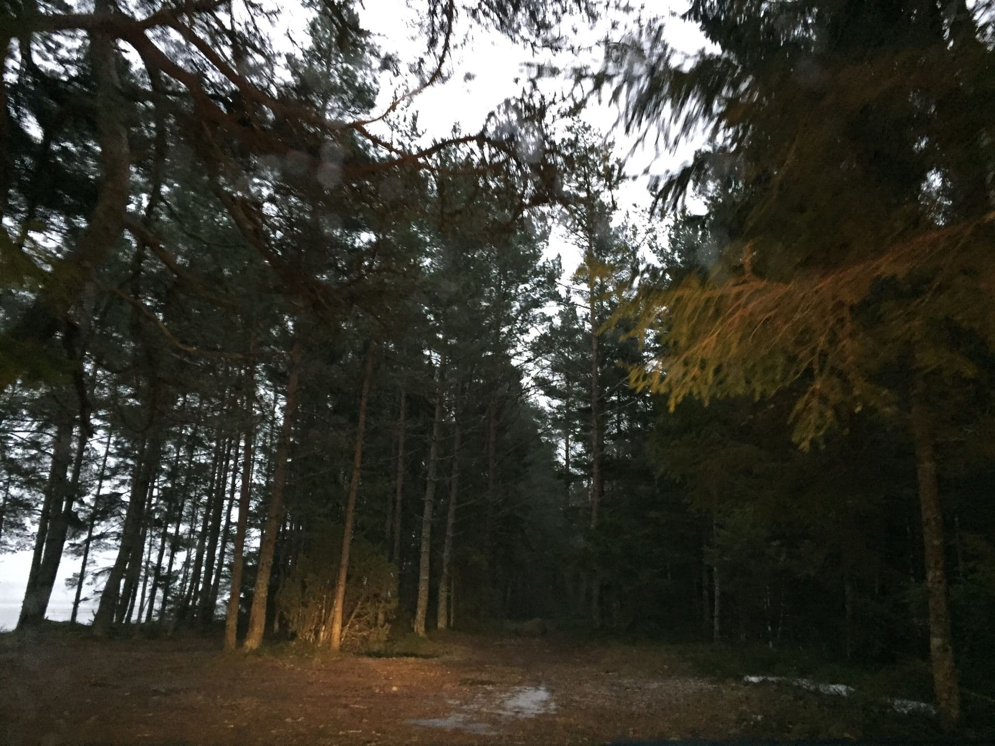 Street view near Meiuste telkimisala, Orissaare — © richlv (CC BY-SA · Mapillary)
