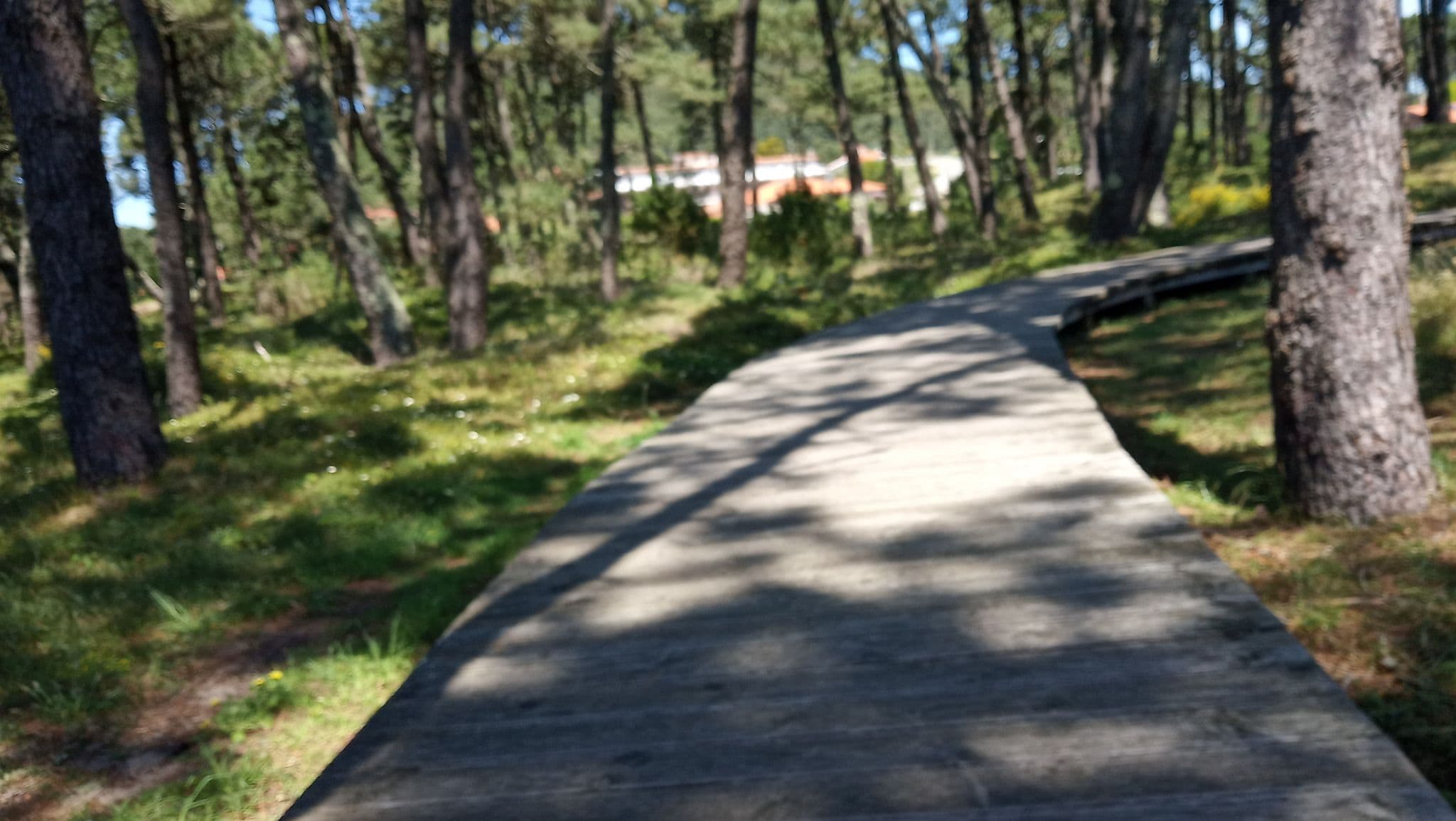 Street view near O Muíño, O Rosal — © sandruskismart (CC BY-SA · Mapillary)