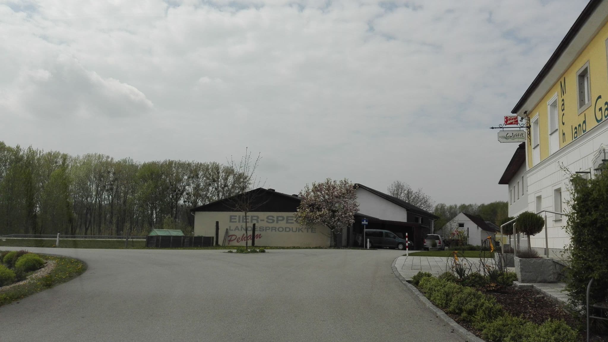 Street view near Machlandgasthaus Wahl, Wallsee — © suriv (CC BY-SA · Mapillary)