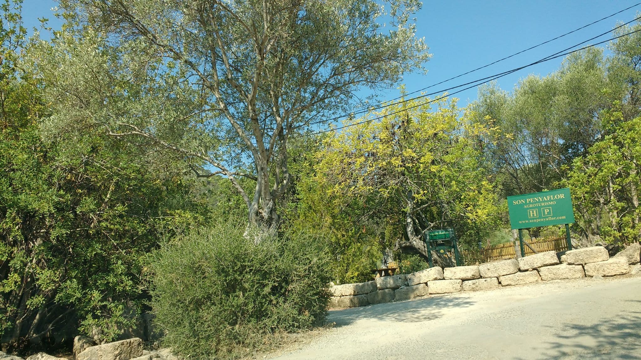 Street view near Son Penyaflor, Alaró — © thetornado76 (CC BY-SA · Mapillary)