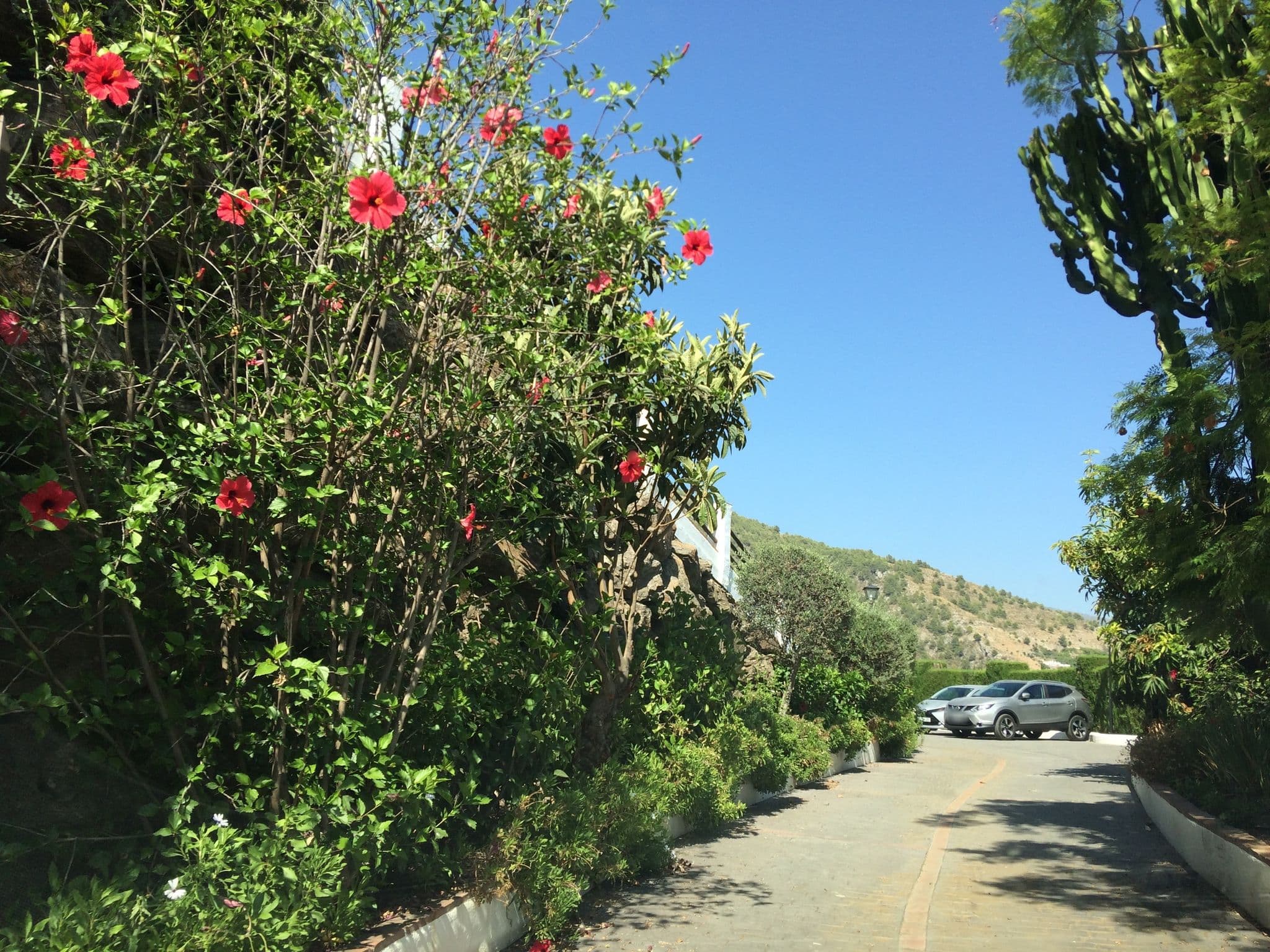 Street view near Hotel La Posada Morisca, Frigiliana — © klaberlang (CC BY-SA · Mapillary)