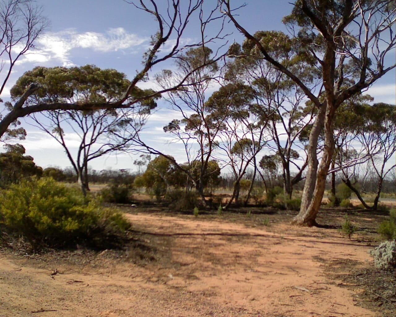 Street view near Harms Lake Rest Area, Kambalda East — © bob3bob3 (CC BY-SA · Mapillary)