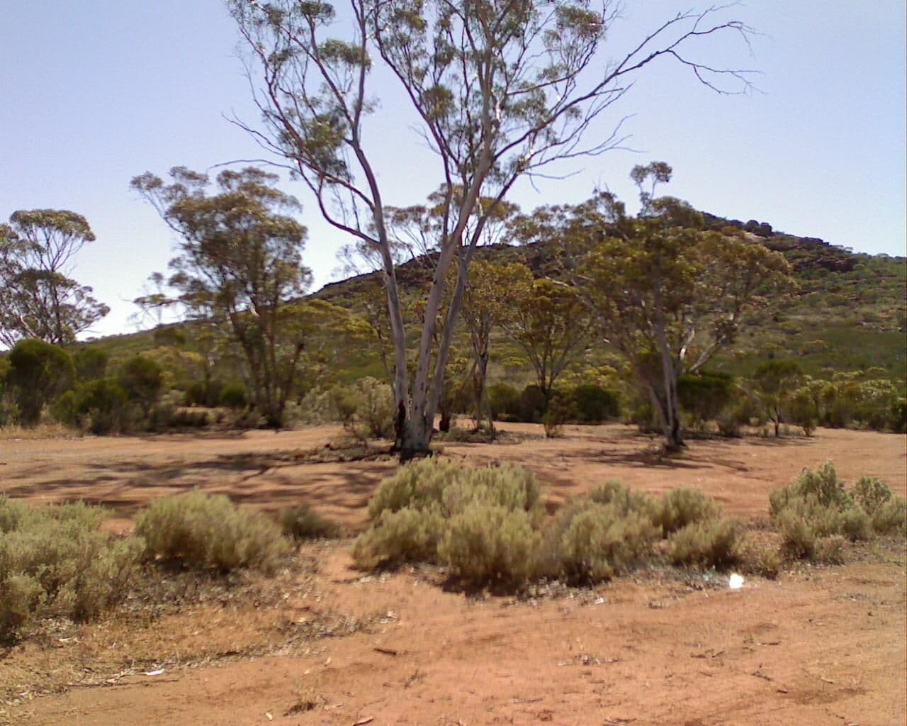 Street view near Jimberlana Hill Rest Area, Kambalda East — © bob3bob3 (CC BY-SA · Mapillary)