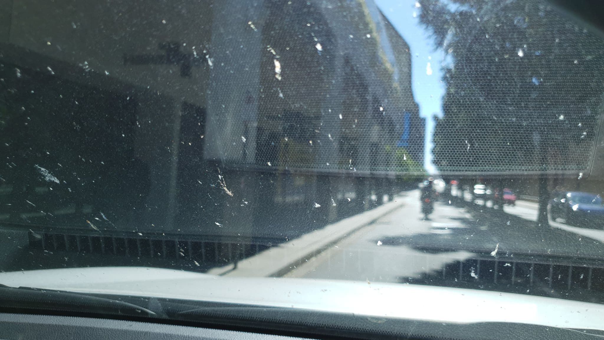 Street view near Rydges, South Brisbane — © ripram (CC BY-SA · Mapillary)