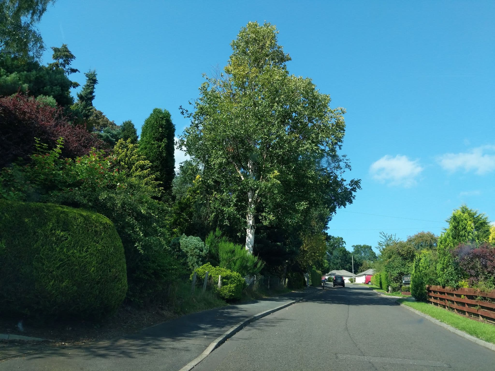Street view near Glede Knowe Guest House, Innerleithen — © ccbb7766 (CC BY-SA · Mapillary)