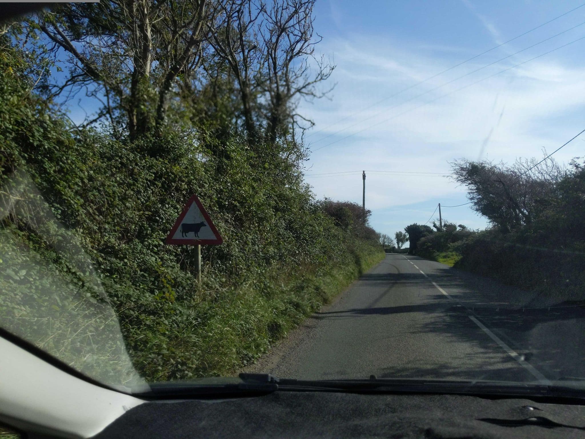 Street view near Little Pangwedna Farm B&B, Helston — © WaggyDog (CC BY-SA · Mapillary)