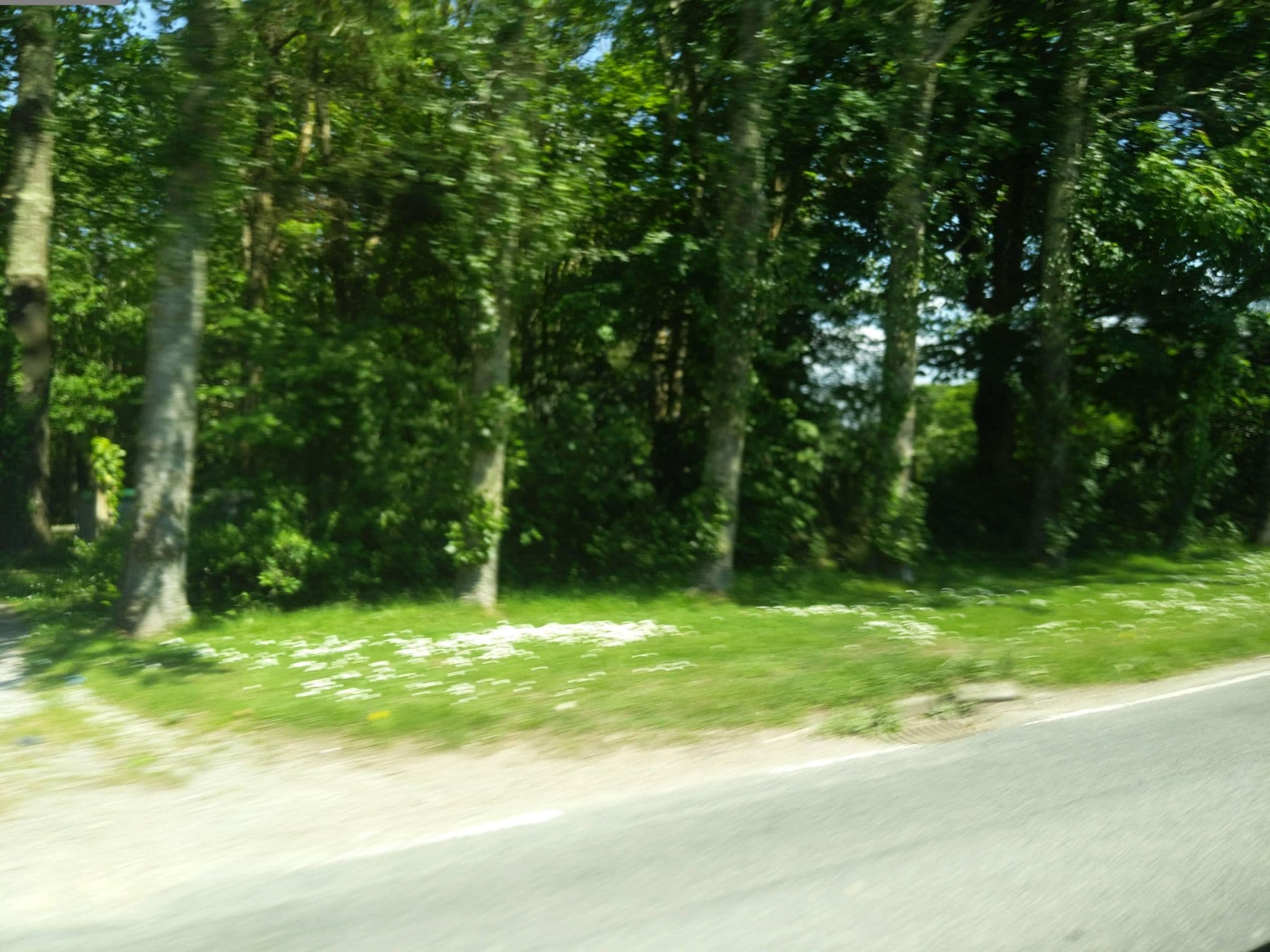 Street view near Penrose Holiday Park, Perranporth — © WaggyDog (CC BY-SA · Mapillary)