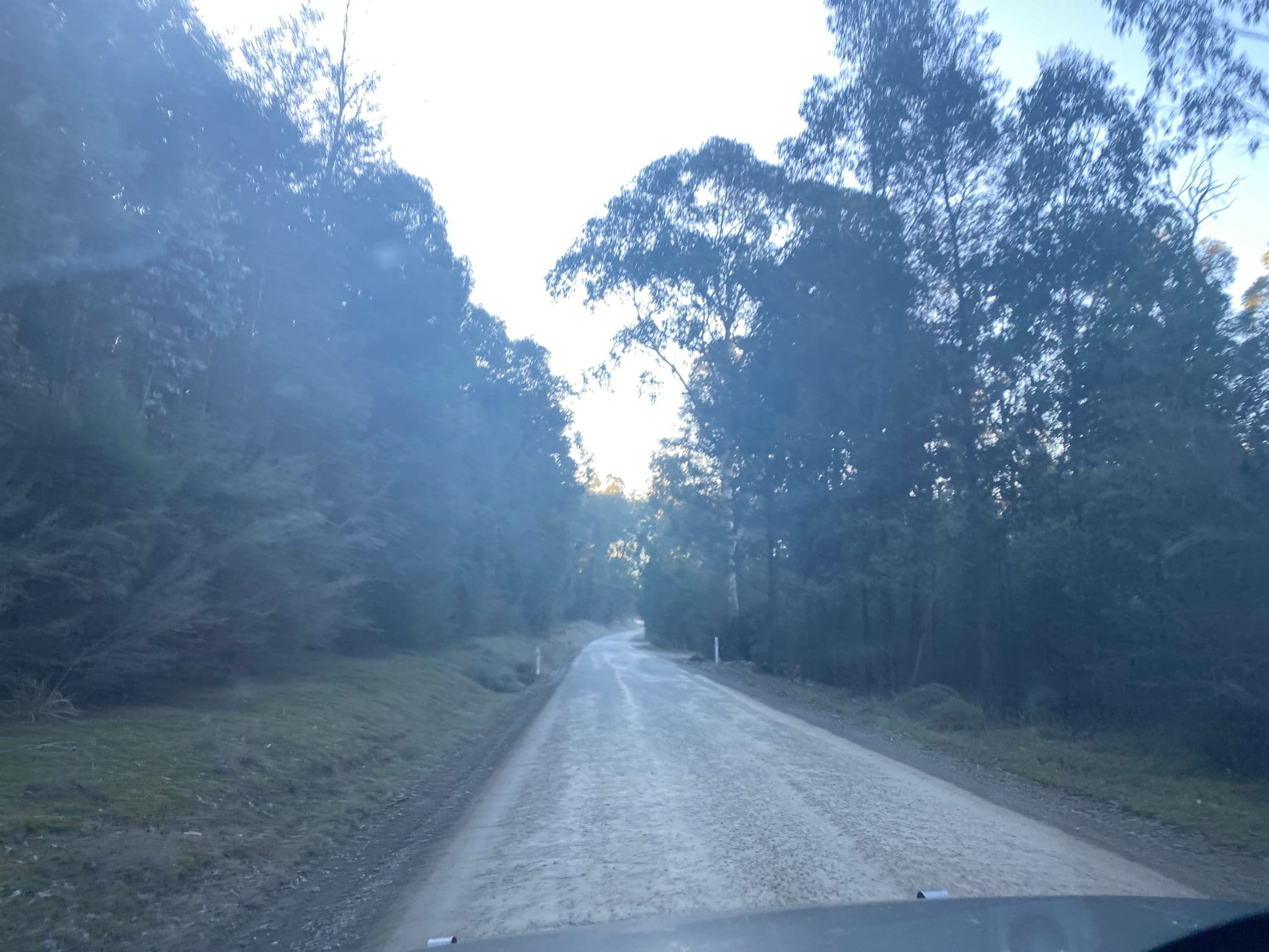 Street view near Murrindindi Scenic Reserve, Yea — © hakk (CC BY-SA · Mapillary)