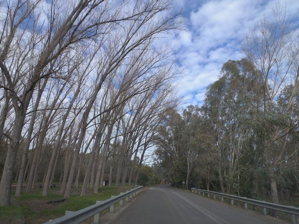 Street view near Pioneer Bridge, Beechworth — © mander (CC BY-SA · Mapillary)