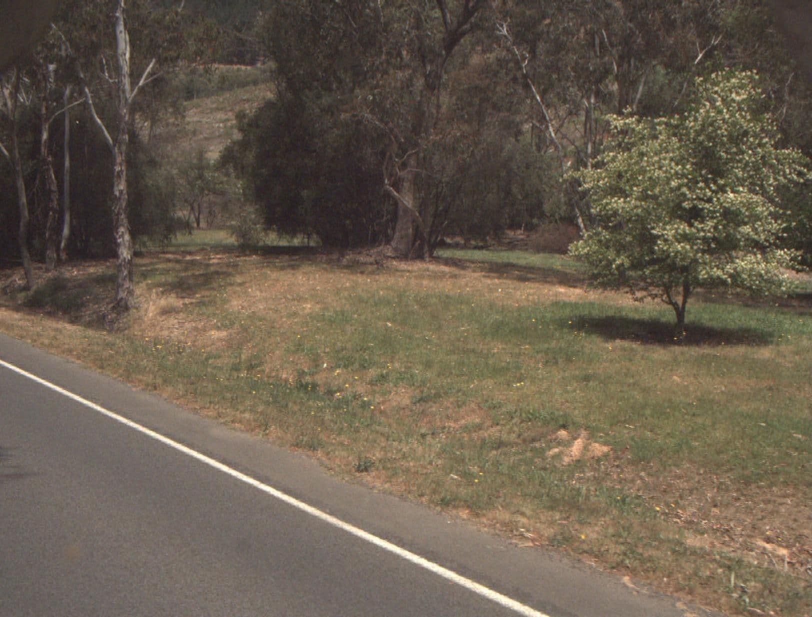 Street view near Porepunkah East Rest Area, Porepunkah — © vicroads (CC BY-SA · Mapillary)