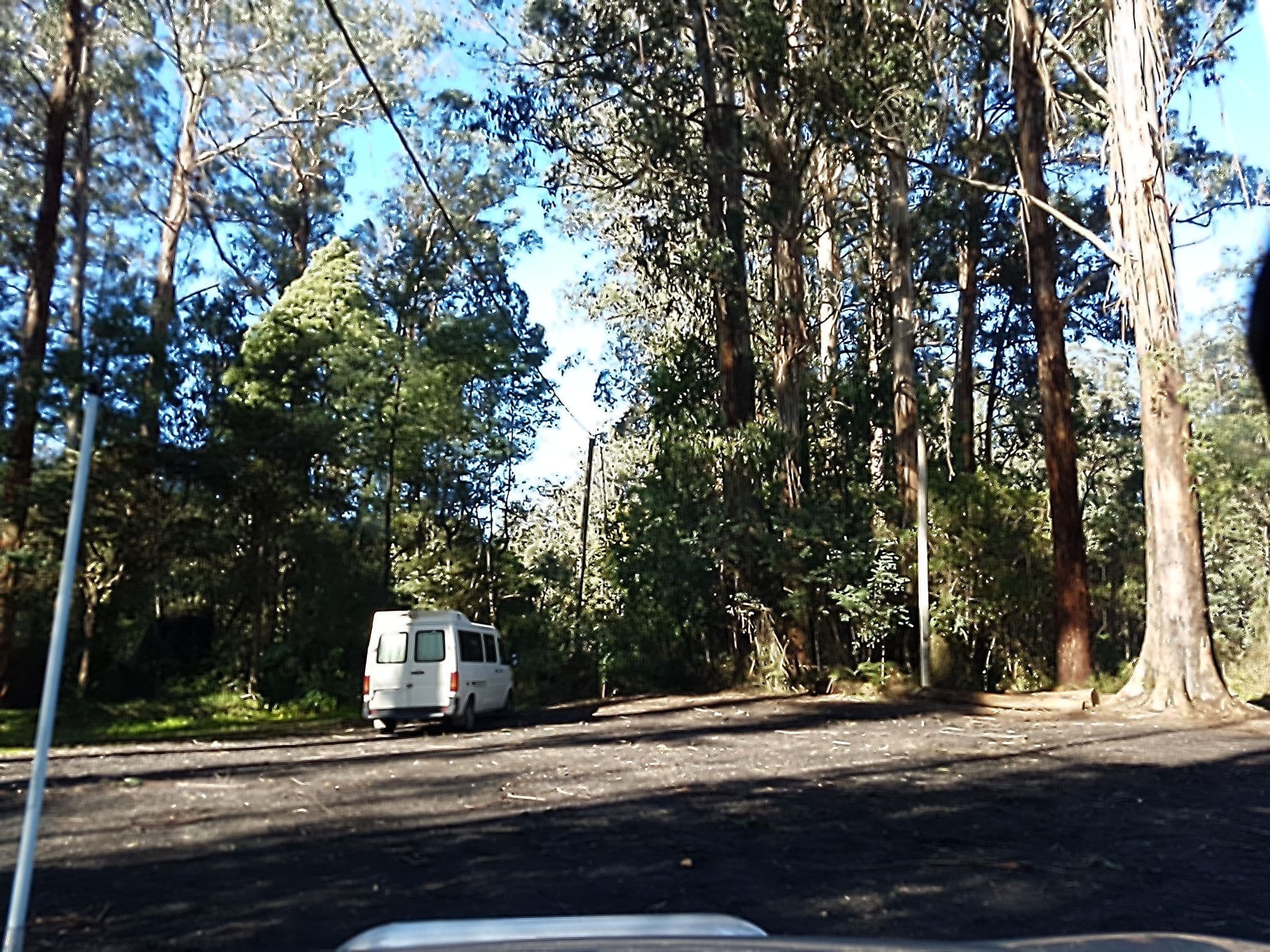 Street view near Toolangi Recreational Reserve, Kinglake — © stev391 (CC BY-SA · Mapillary)