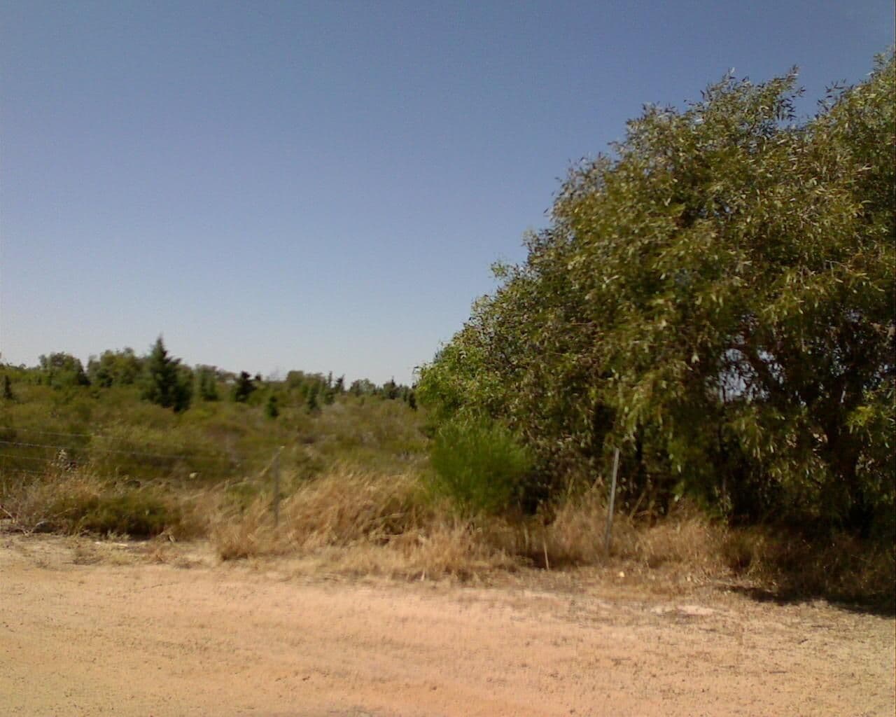 Street view near Arrowsmith Rest Area, Port Denison — © bob3bob3 (CC BY-SA · Mapillary)