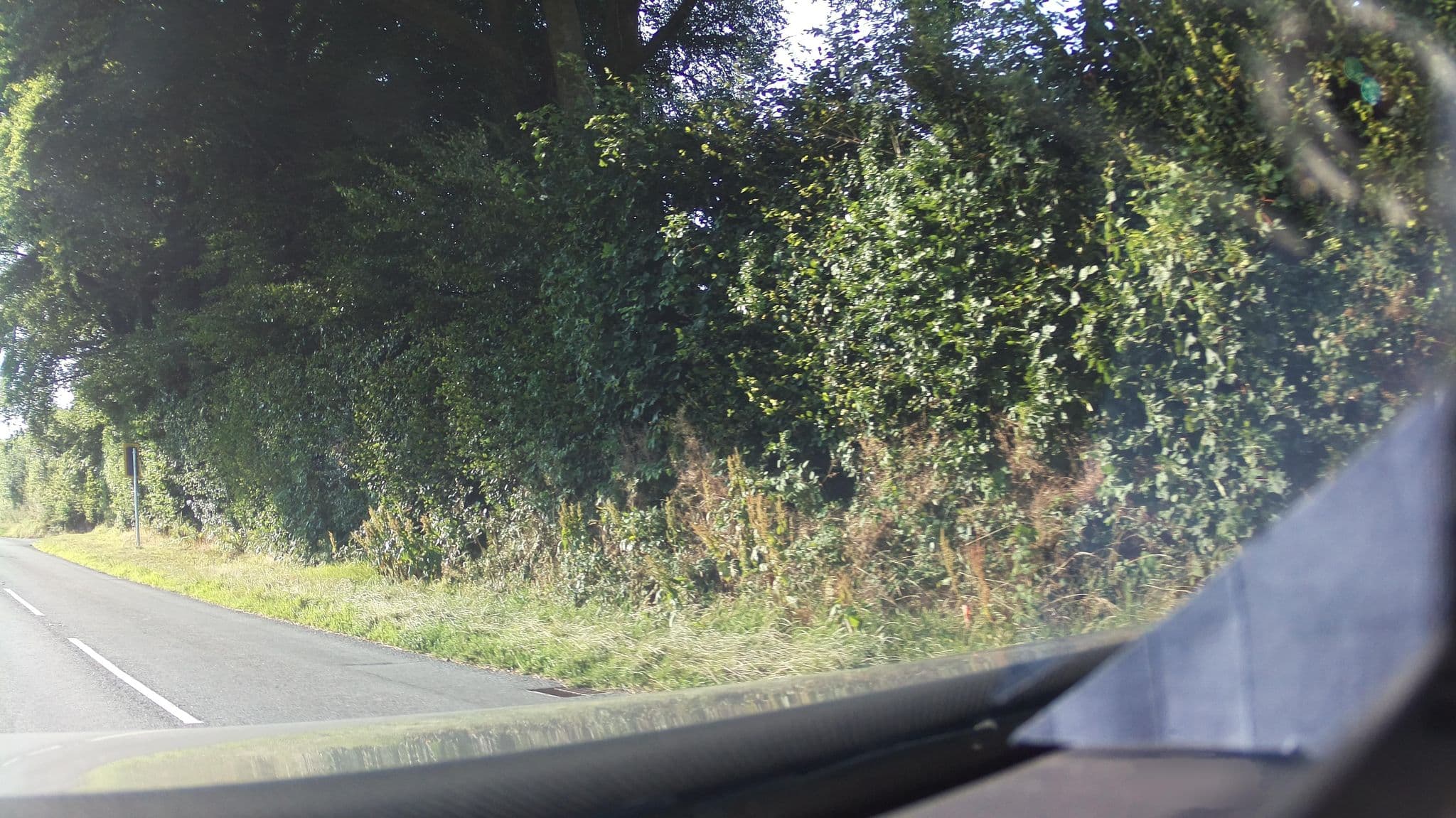 Street view near Stockleigh Lodge, Porlock — © southglos (CC BY-SA · Mapillary)