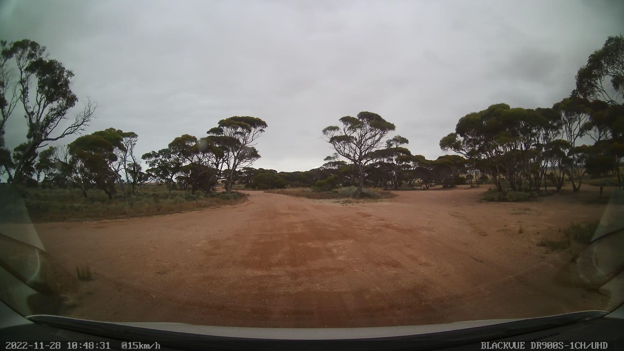 Street view near Cohen Rest Area, Ceduna — © bob3bob3 (CC BY-SA · Mapillary)