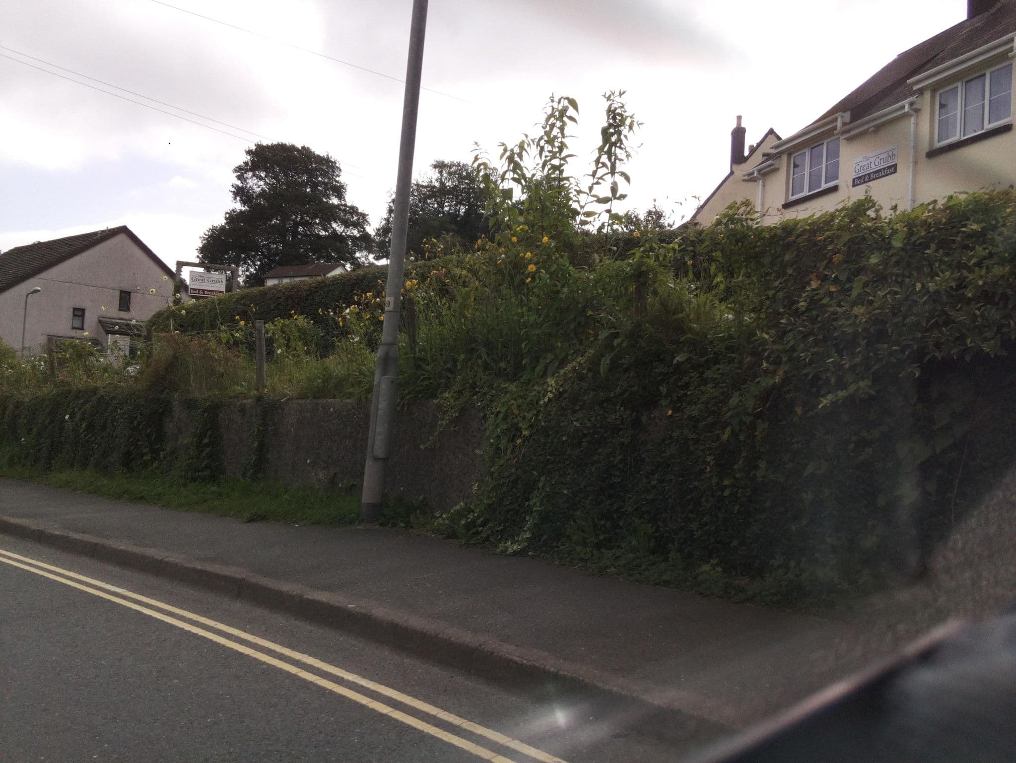 Street view near The Great Grub, Totnes — © southglos (CC BY-SA · Mapillary)
