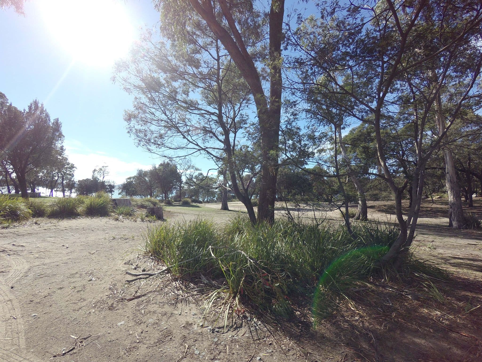 Street view near Lime Bay Campground, Dodges Ferry — © tastrax (CC BY-SA · Mapillary)