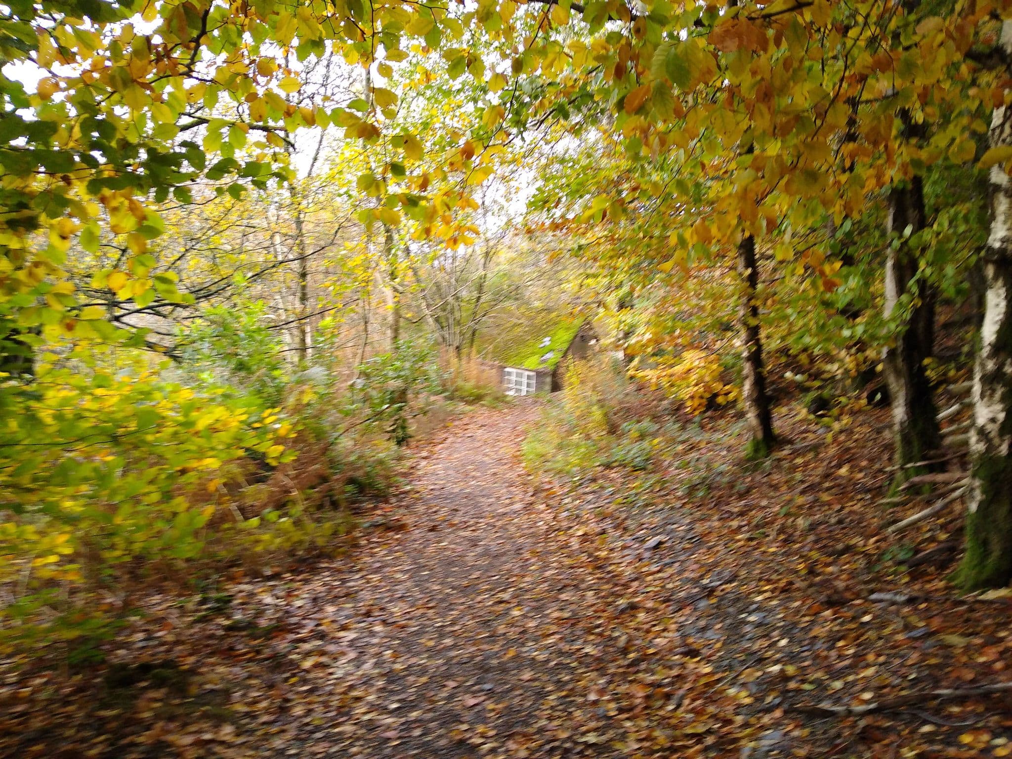 Street view near Saint Johns, Keswick