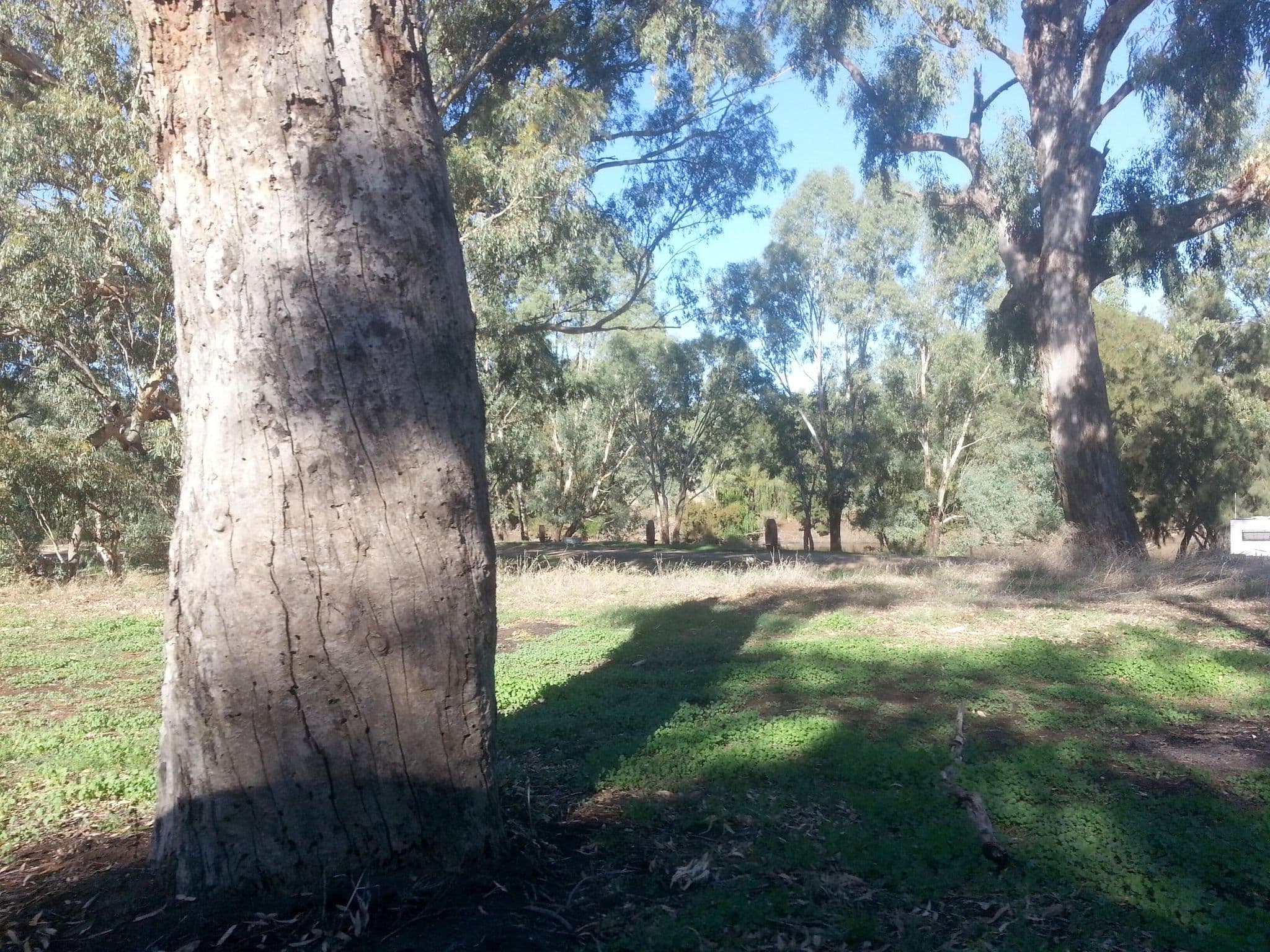 Street view near Oura Reserve, Kooringal — © bob3bob3 (CC BY-SA · Mapillary)