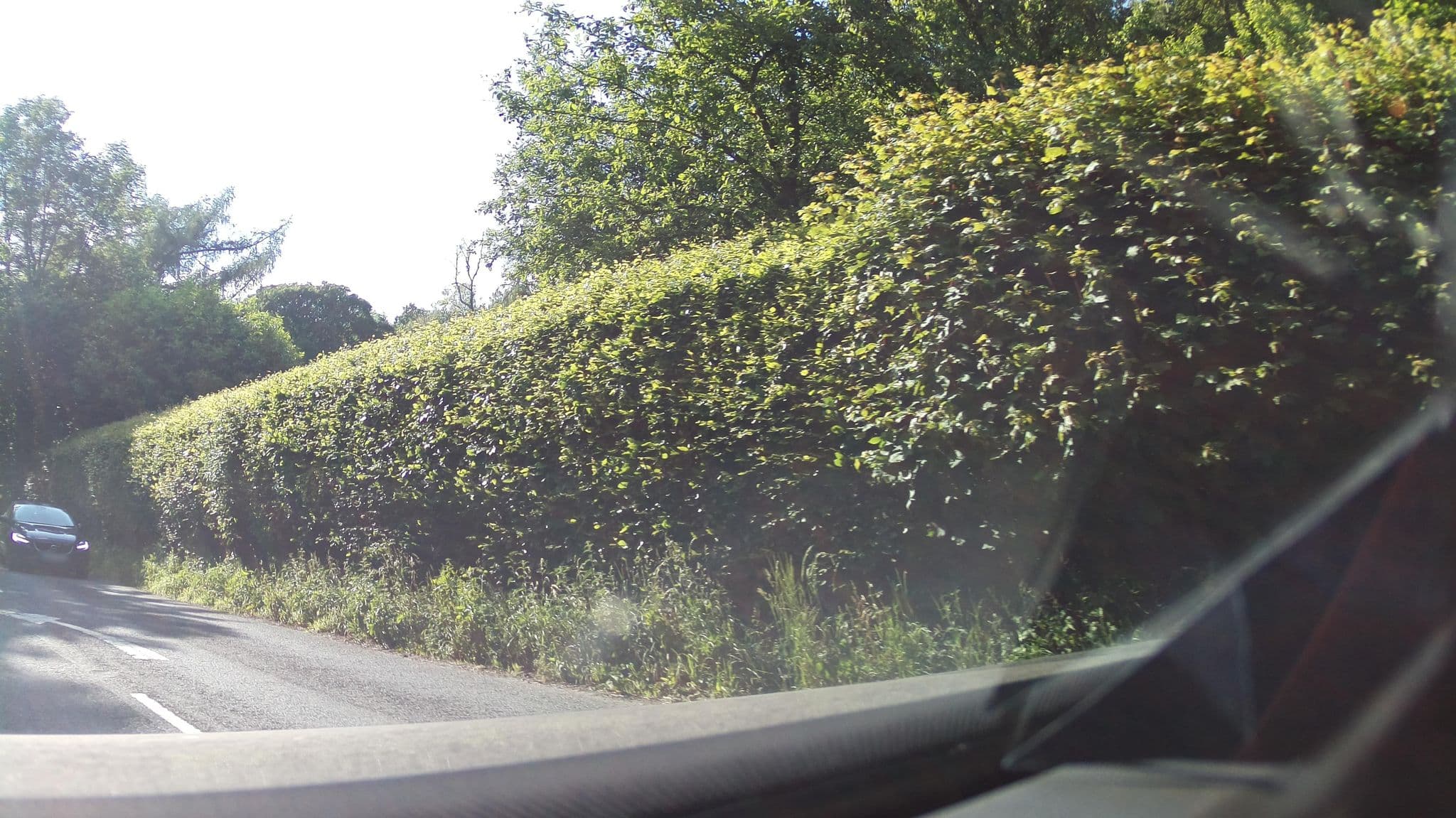 Street view near White Moss House, Ambleside