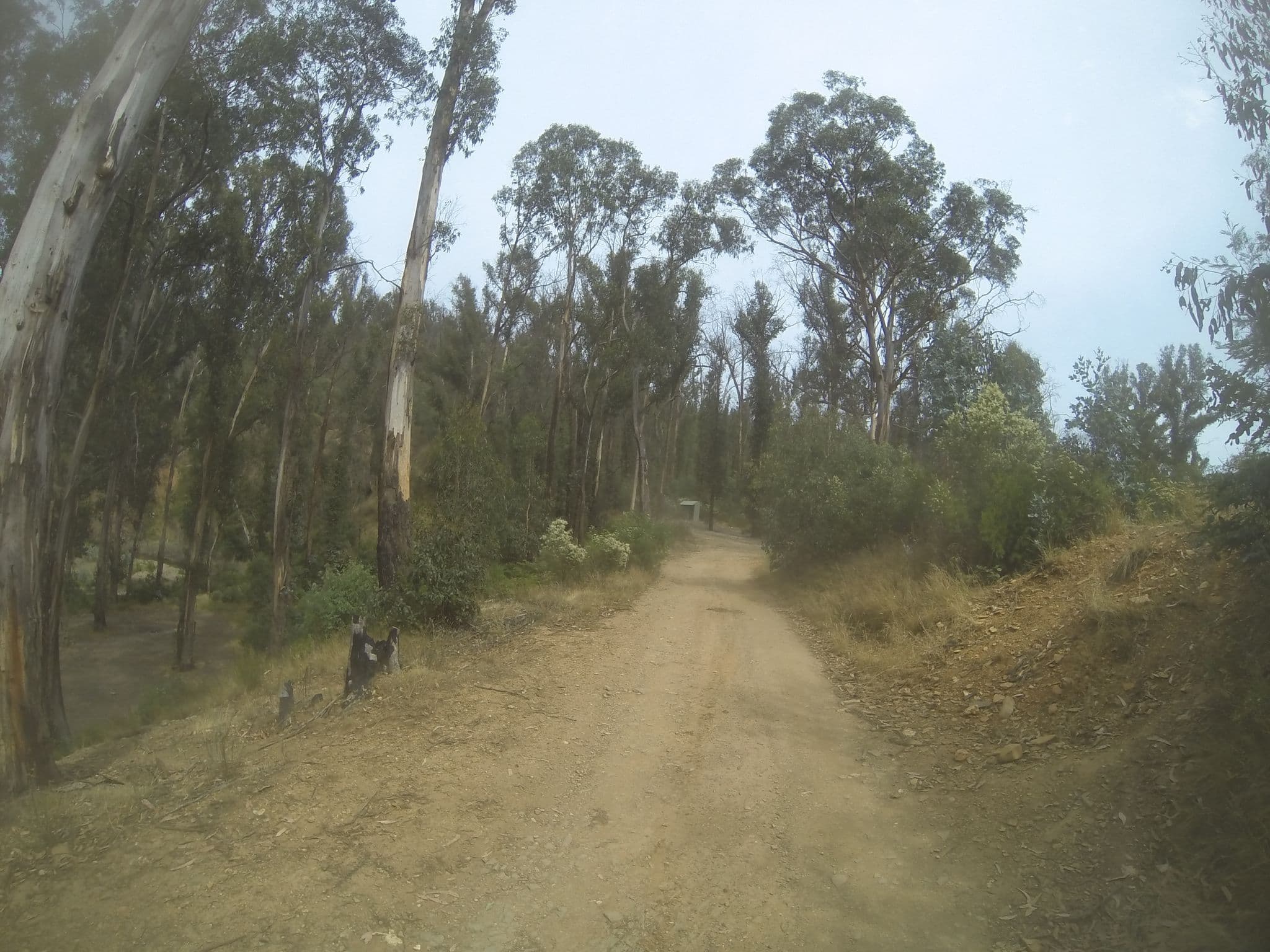 Street view near Junction Hut, Heyfield — © stev391 (CC BY-SA · Mapillary)