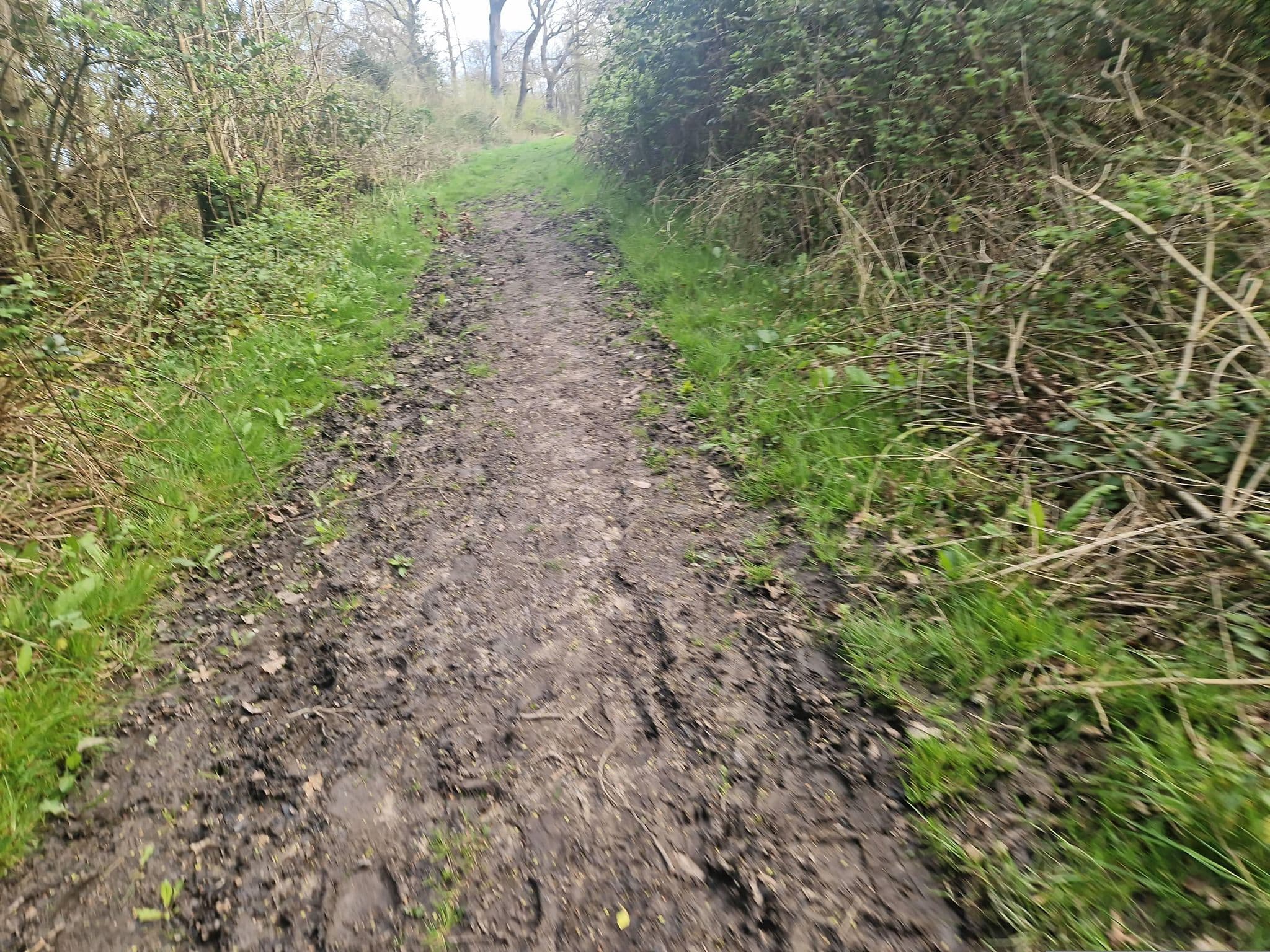 Street view near Bottom Field, Alresford — © edloach (CC BY-SA · Mapillary)