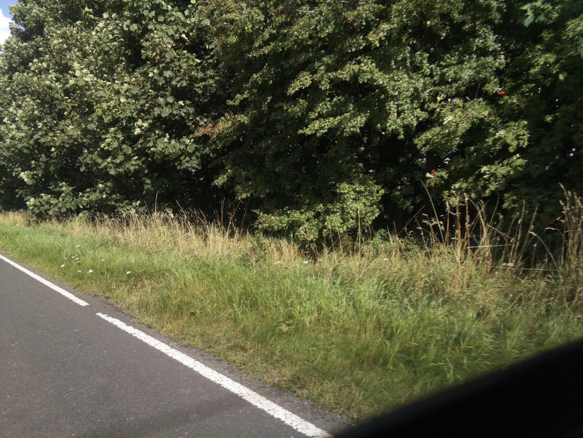 Street view near Dunns Houses, Bellingham — © southglos (CC BY-SA · Mapillary)